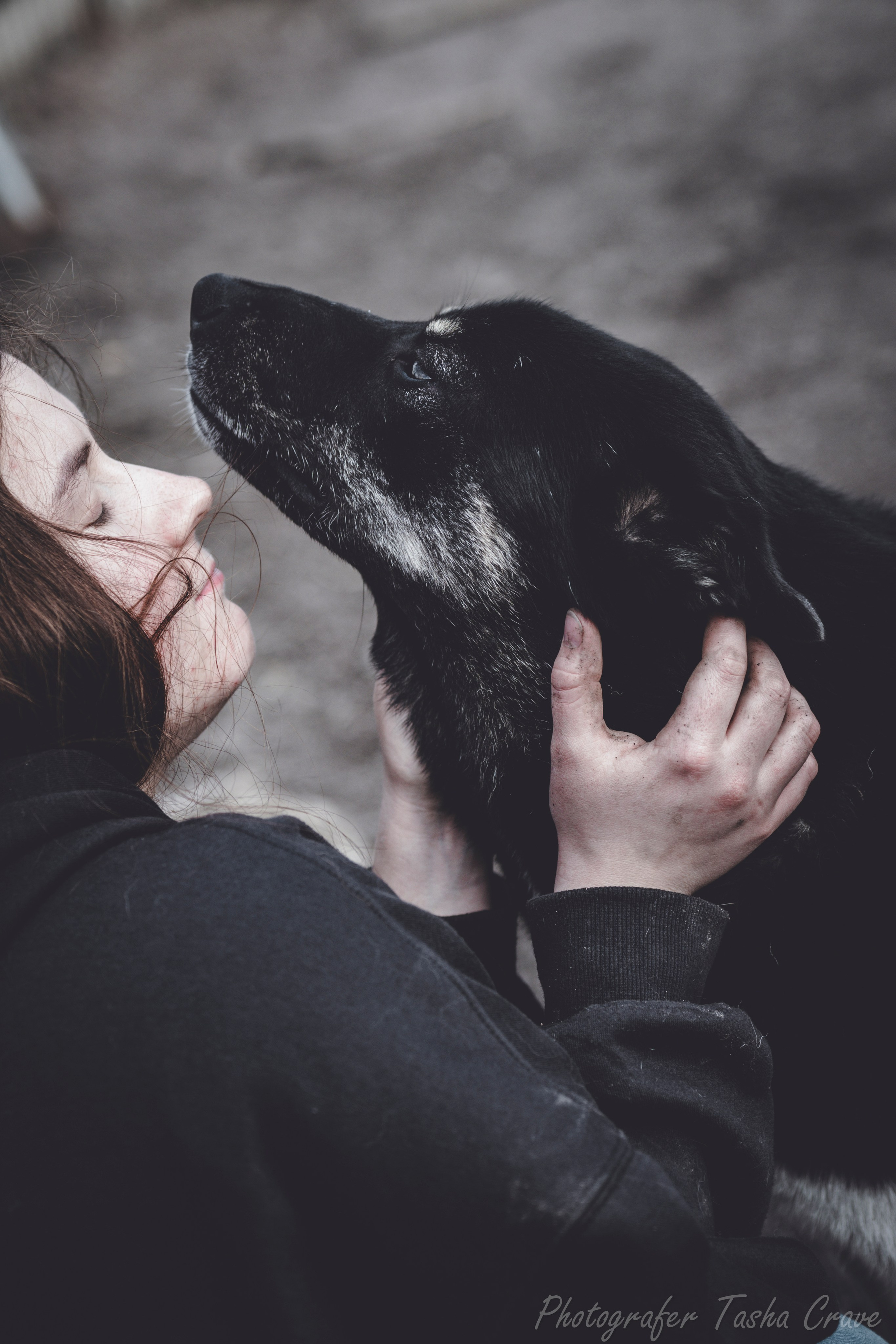 Приют для собак. Фотограф анималист в Санкт-Петербурге Таша Крейв