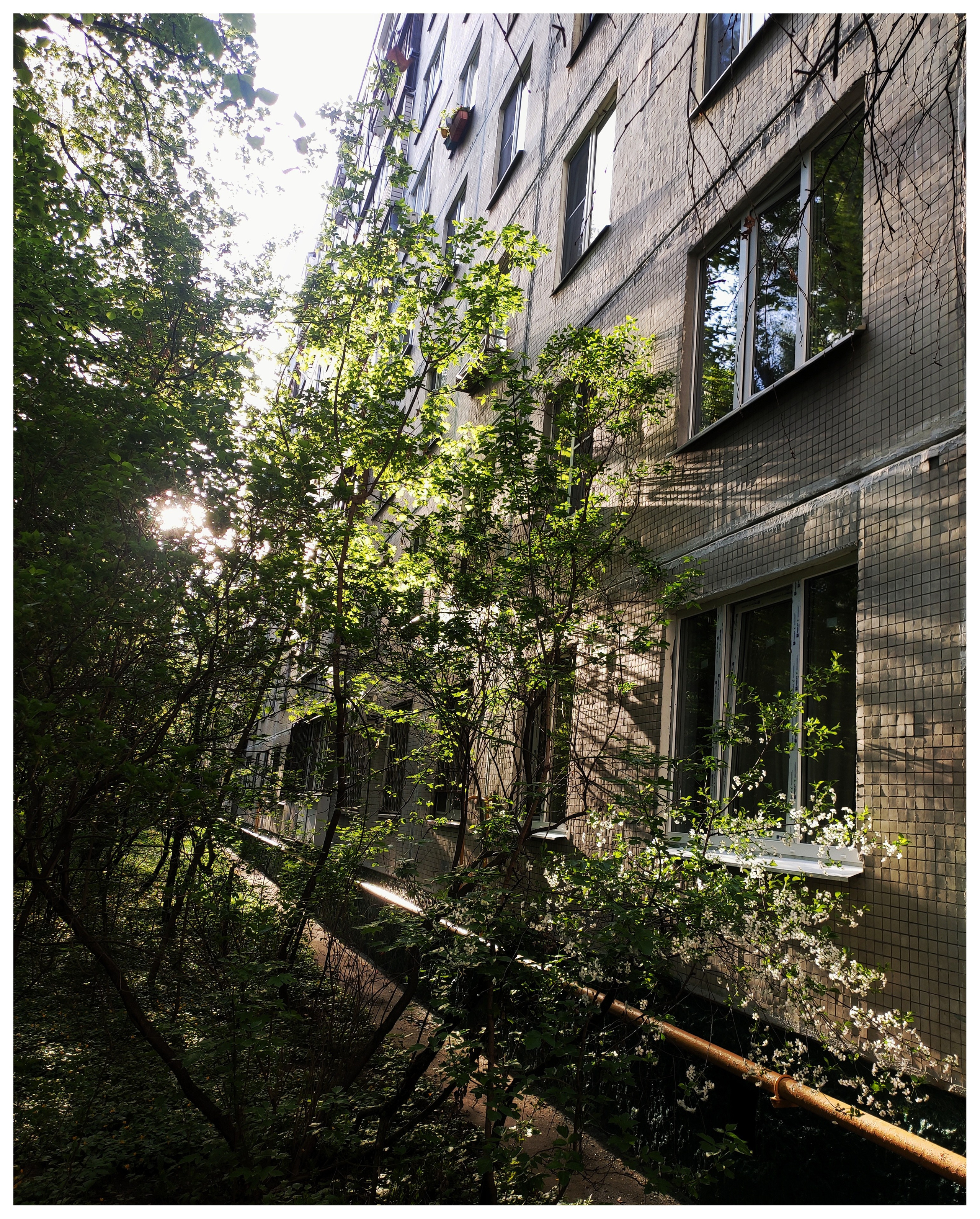 Мир повседневных Вещей. Репортажный и портретный фотограф, Влад Хафизов, Москва