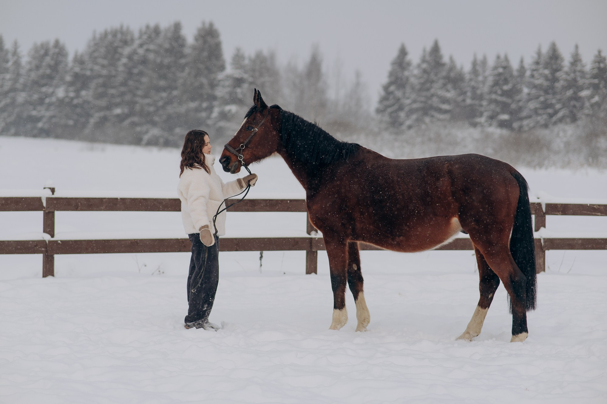 Фотосессия девушки с лошадью. Свадебный и репортажный фотограф в Ярославле Евгений Сальников