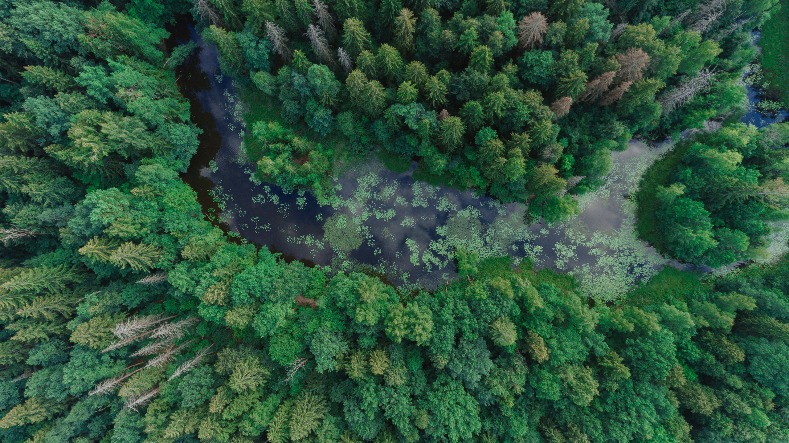 Архитектура/Пейзажи. Фотограф Никита Комаров