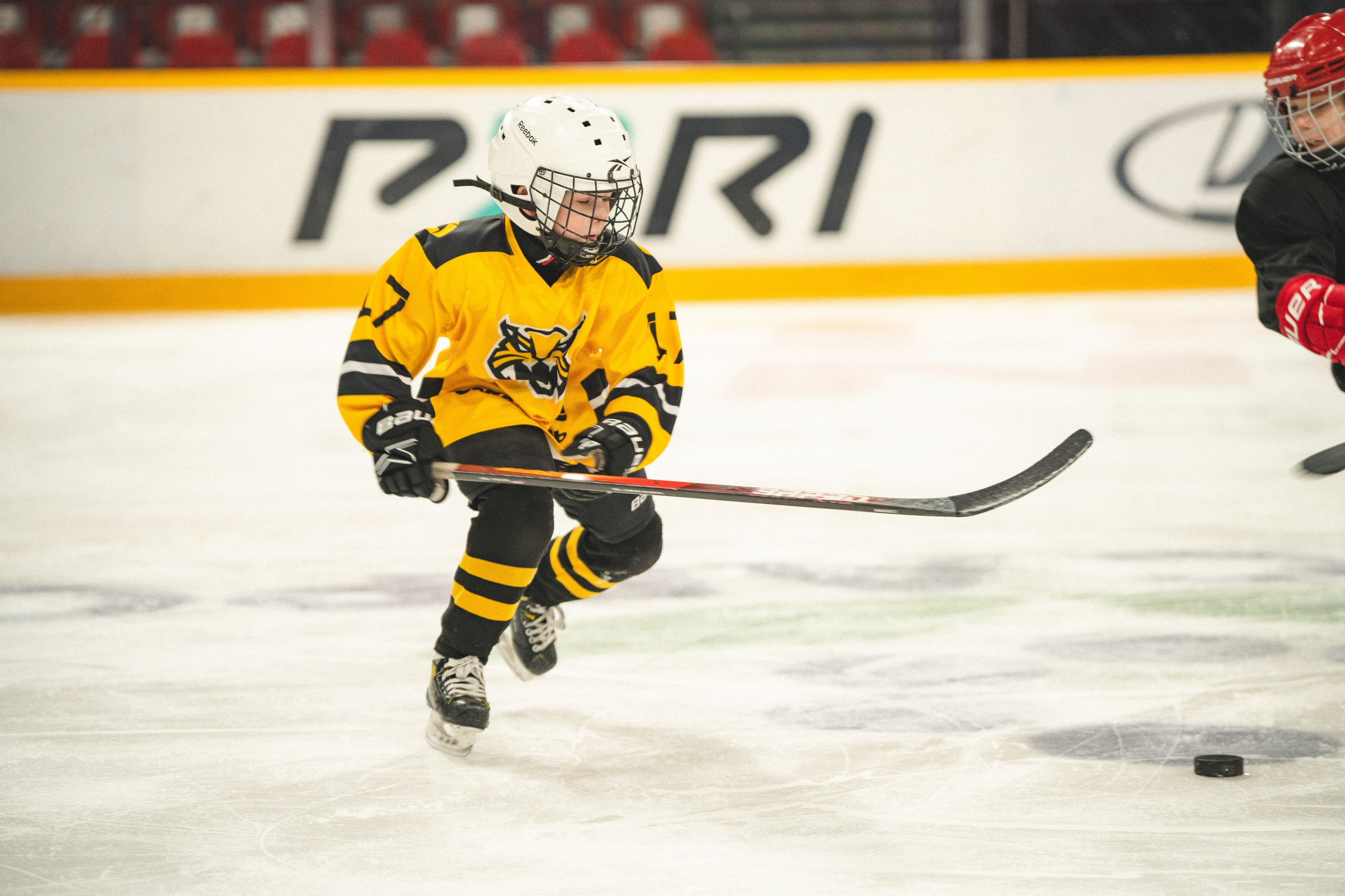 ХК Северсталь (младшая группа). Череповец. Zekons. Фото, видео, нейросети