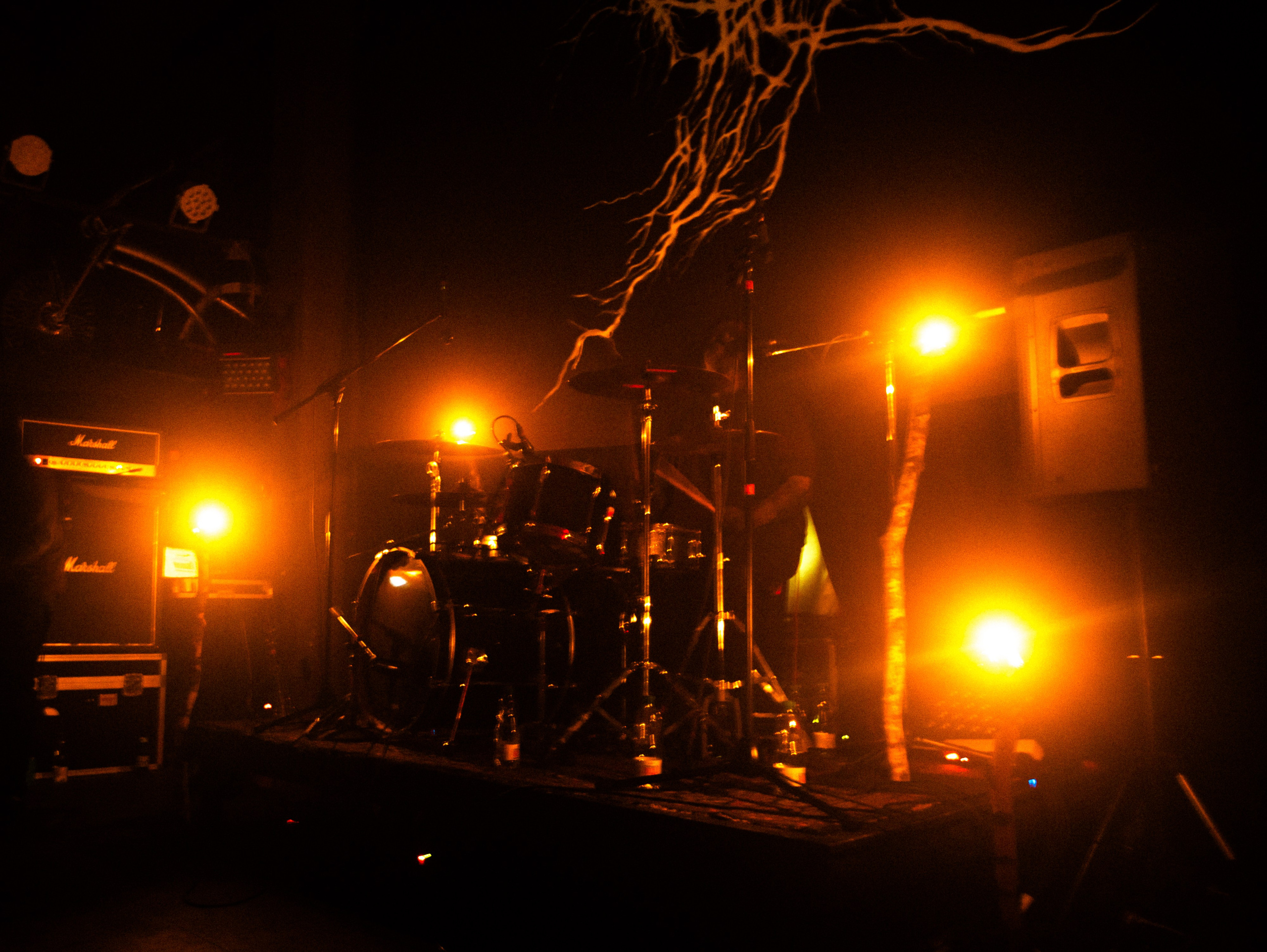 Презентация нового альбома группы БЕРЕСТА. Фотограф Мария Немм