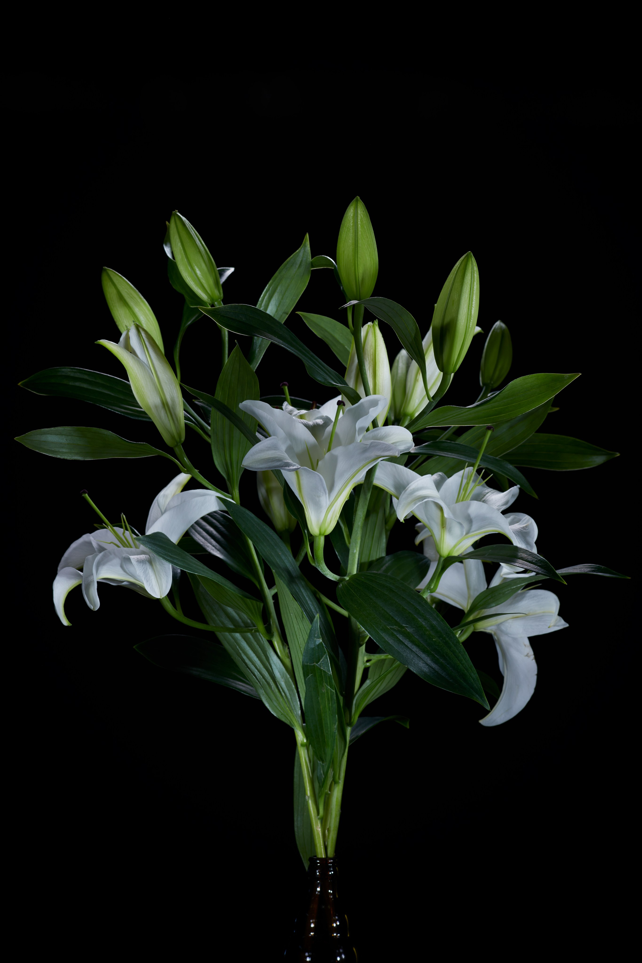 фотограф букет художественно