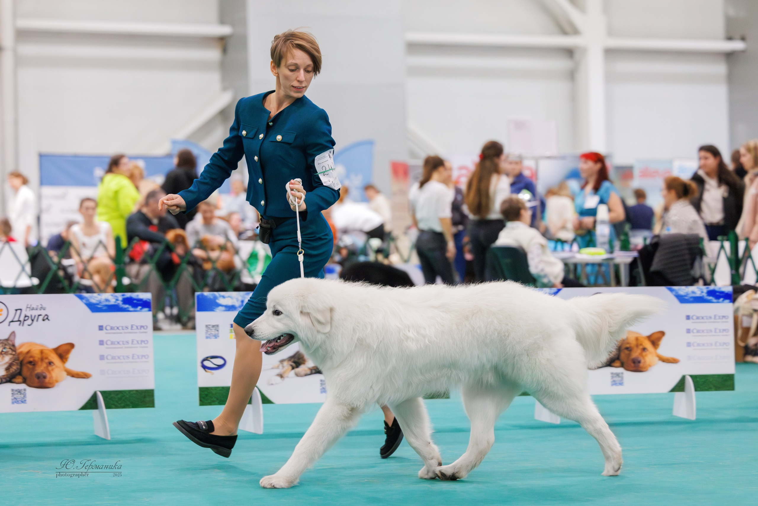 Гран-При 8.02.2025 и Крокус 09.02.2025. Фотограф-анималист Юлия Германика