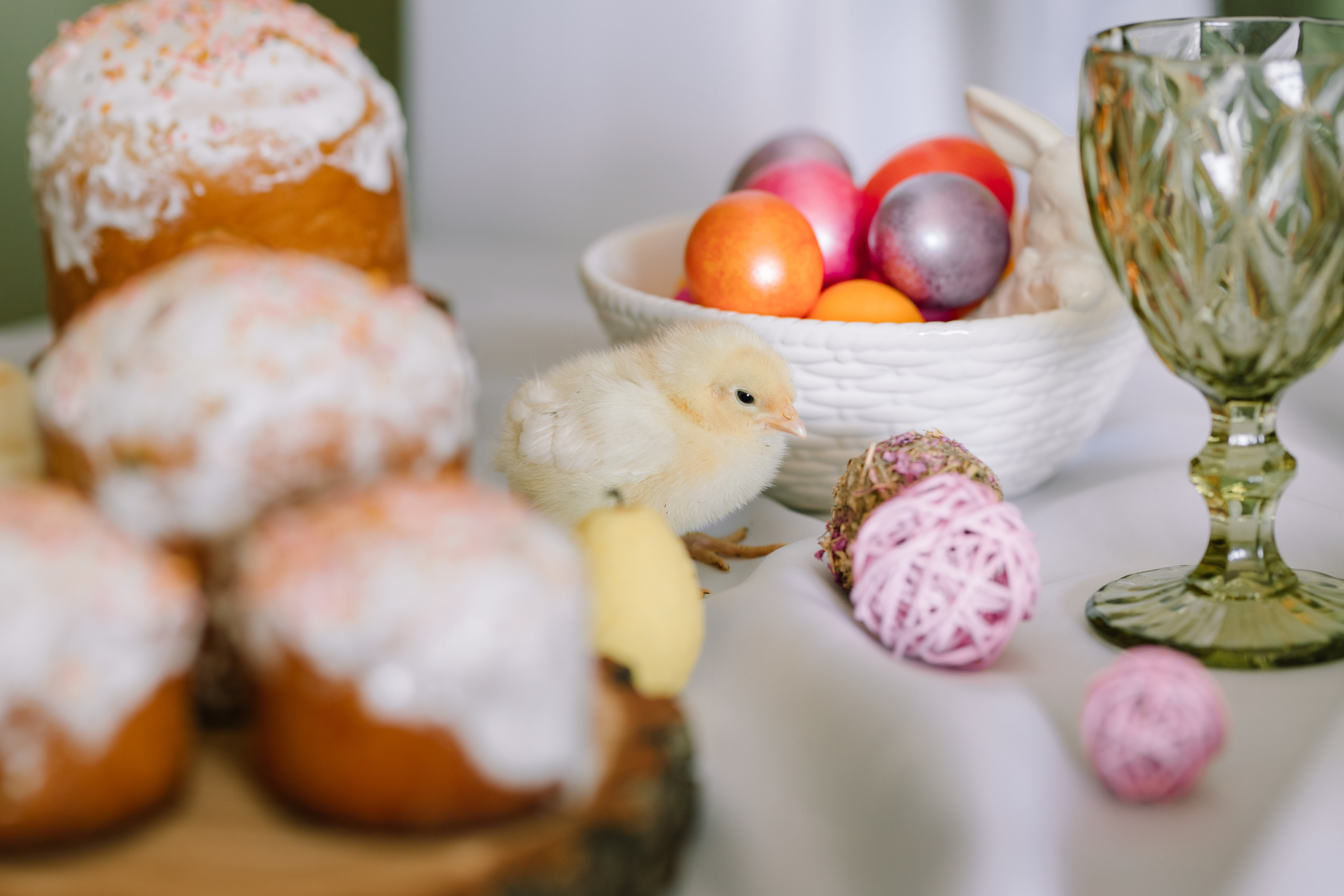 Вовочка. Свадебный и семейный фотограф в Кинеле Евгения Исаева