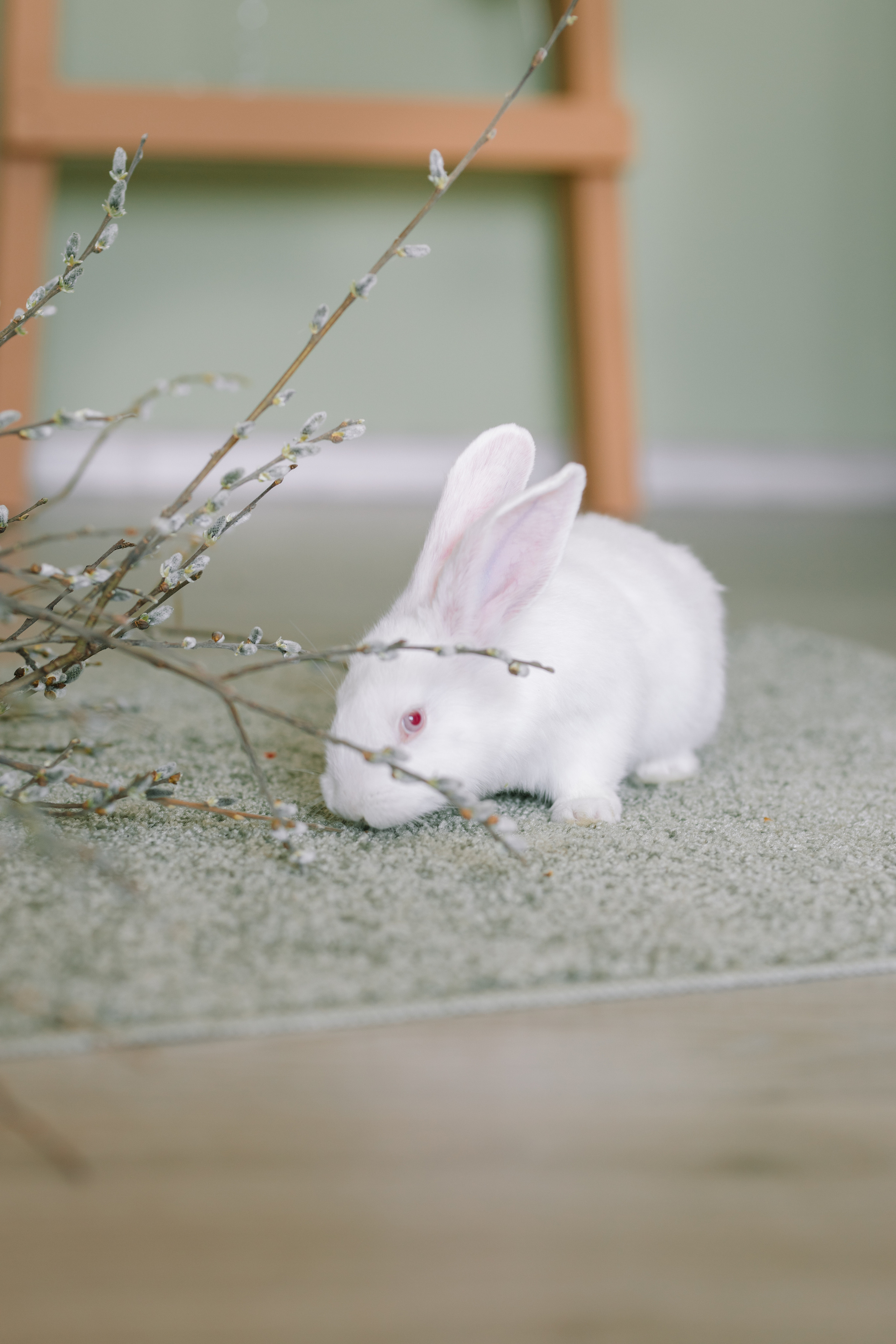 Вовочка. Свадебный и семейный фотограф в Кинеле Евгения Исаева