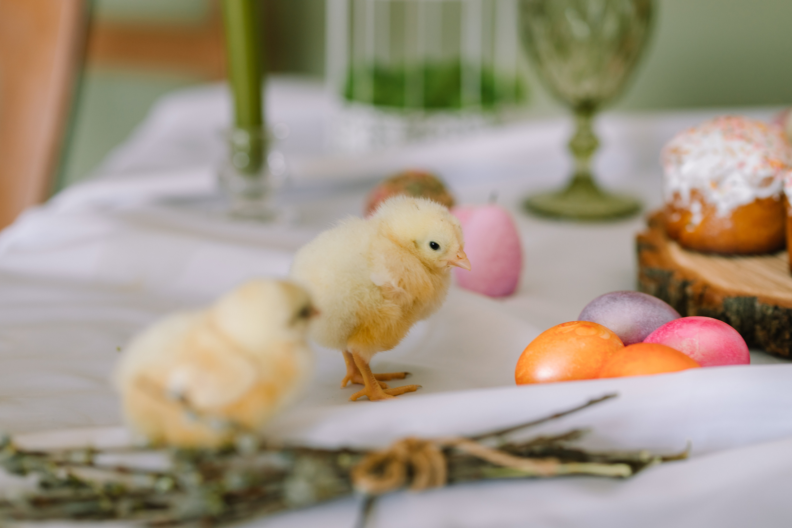 Вовочка. Свадебный и семейный фотограф в Кинеле Евгения Исаева