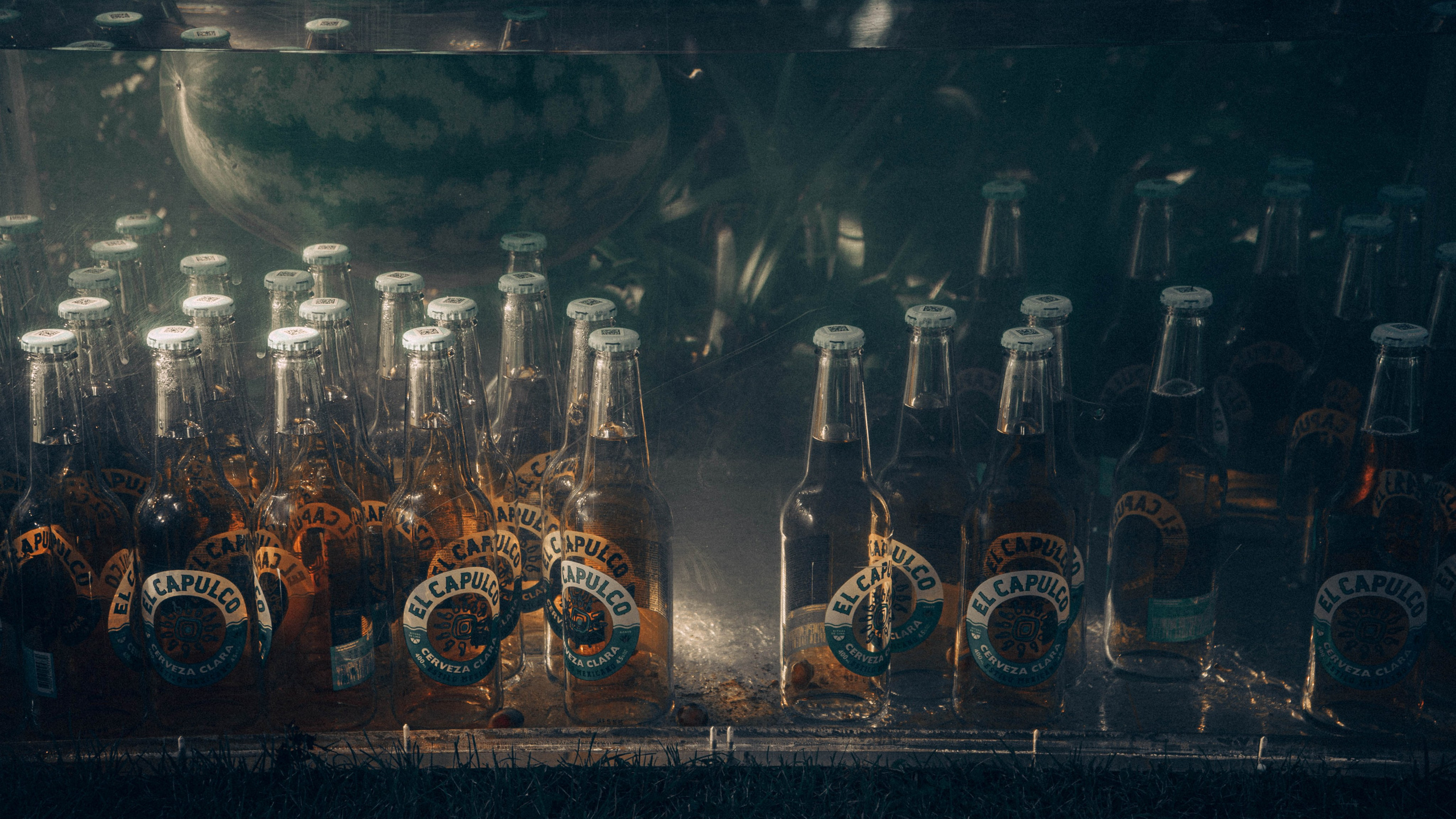 Гавайская вечеринка. Кир Анисин. Режиссер & фотограф