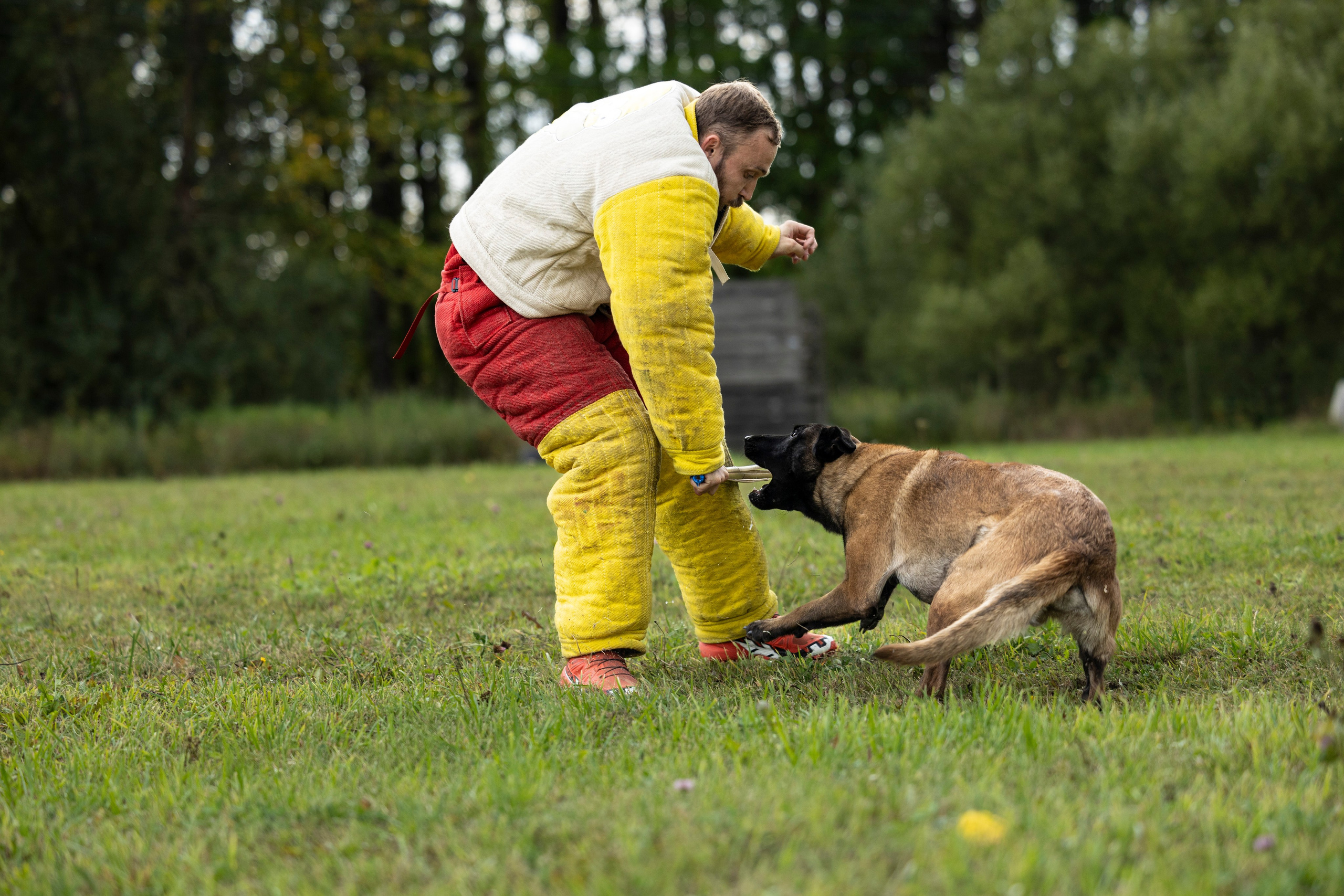 Испытания по Мондьорингу г. Пушкин. Фотограф-анималист Анна Маринич