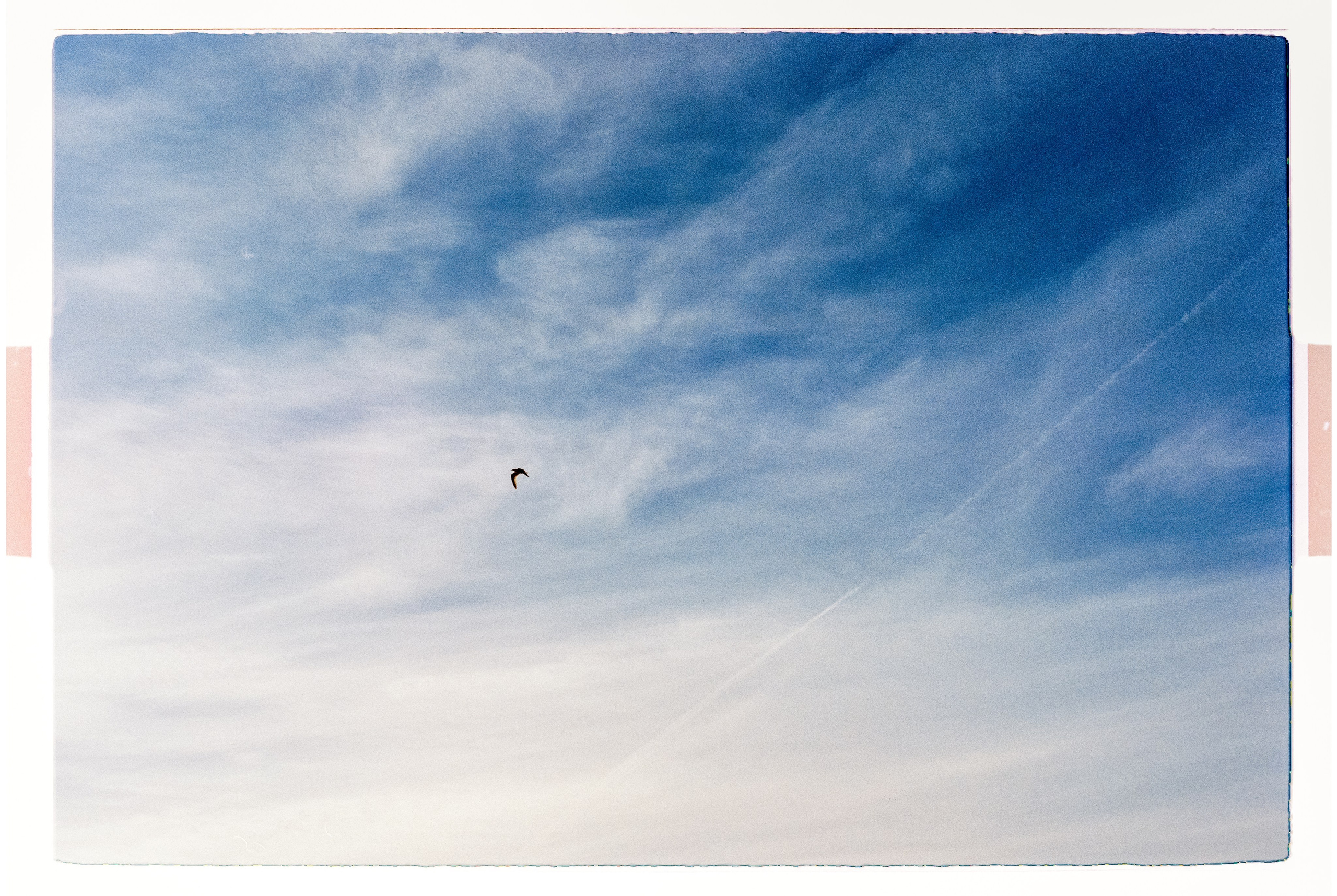 Nizhniy Novgorod. ANNA — PHOTOGRAPHER