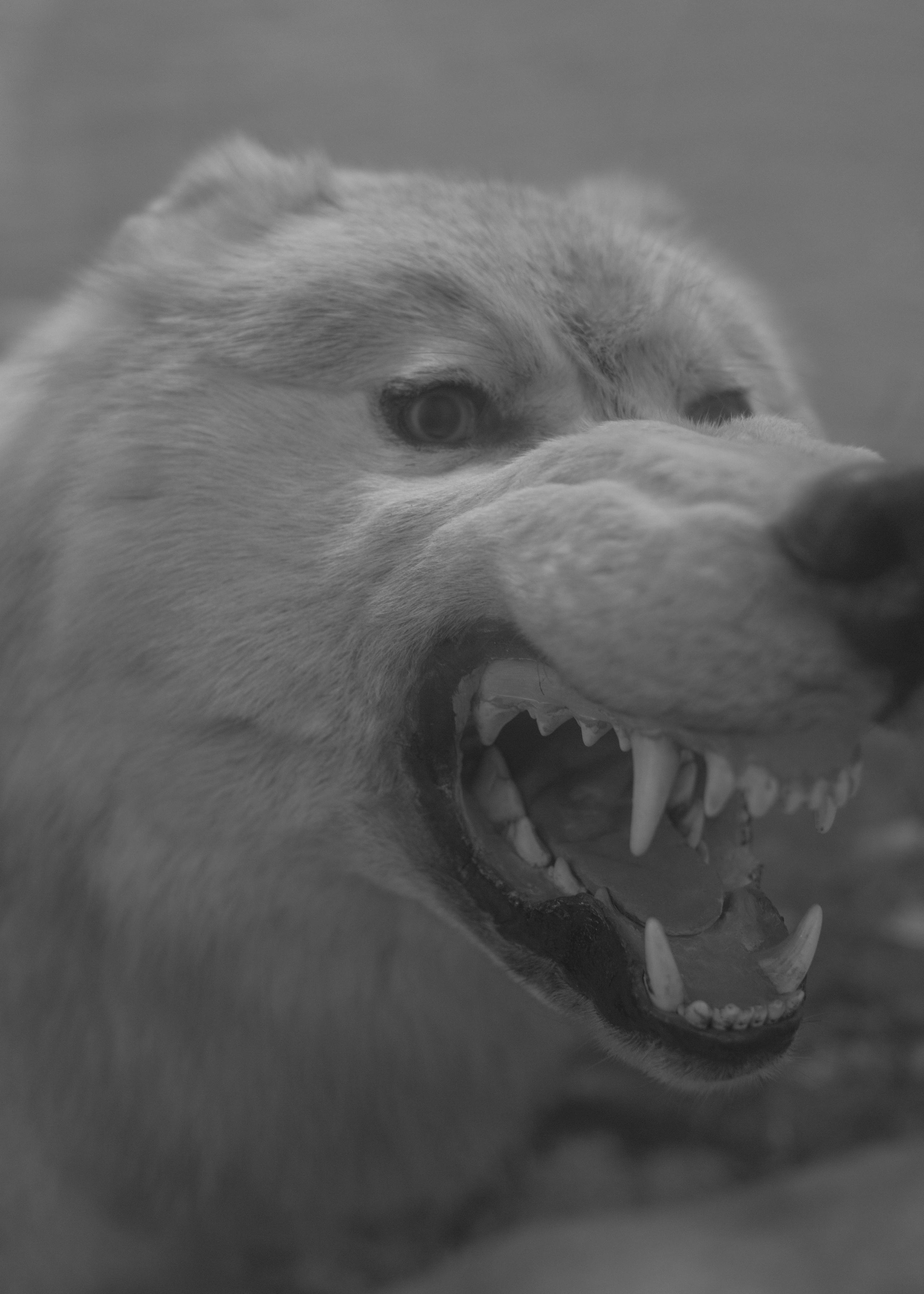 I’m Tired of Being Myself. Photographer Slava Kostylev