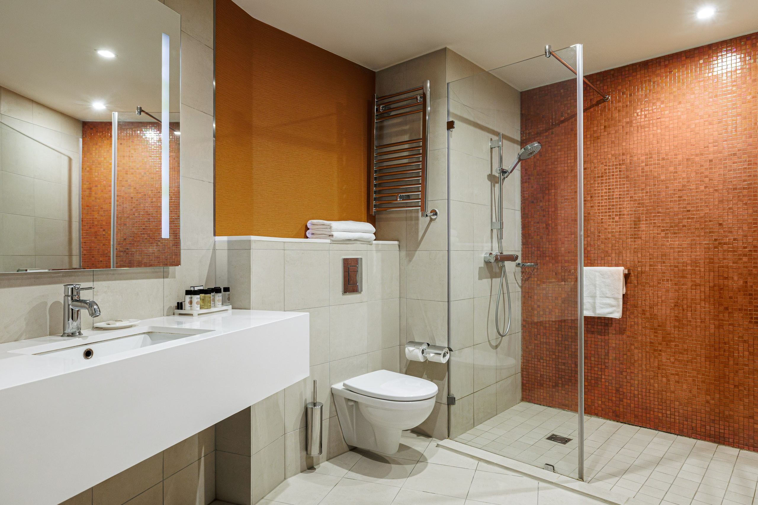 Cosmos Selection Moscow Sheremetyevo Airport Hotel