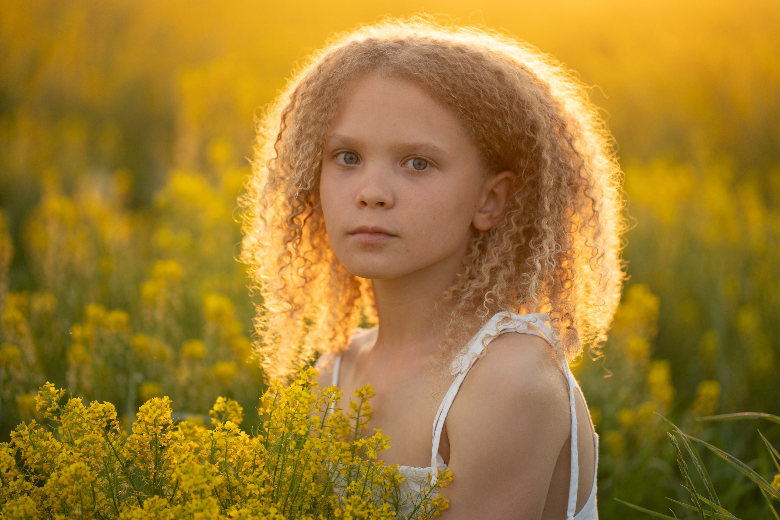 фотосессия детей летом, фотография детей фотосессия, сделать фотографию ребенка, детская фотосессия ребенка, фотосессия с ребенком, фотосессия в цвету, фотосессия с цветами, фотосессия в поле, фотосессия на закате, девичья фотосессия, детский портрет