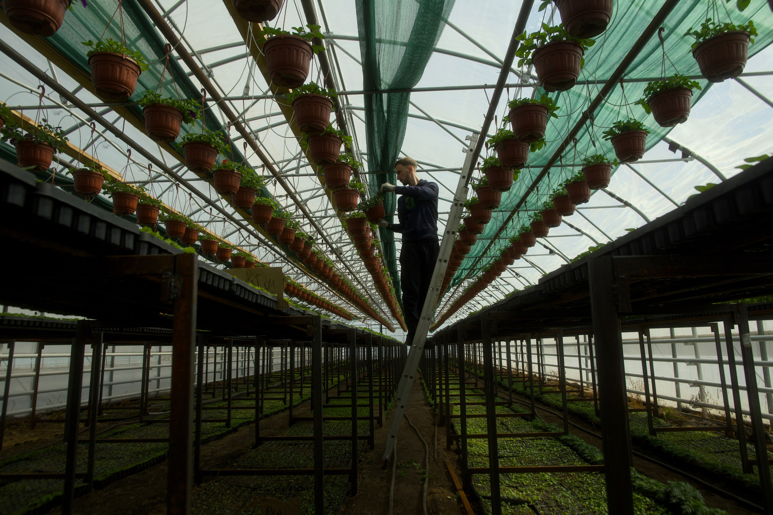 Съёмка для питомника растений «Лаки» под Екатеринбургом. Фотограф в Екатеринбурге: венчания, крещения, репортаж. Видео и трансляции. Официальный фотограф Екатеринбургской епархии