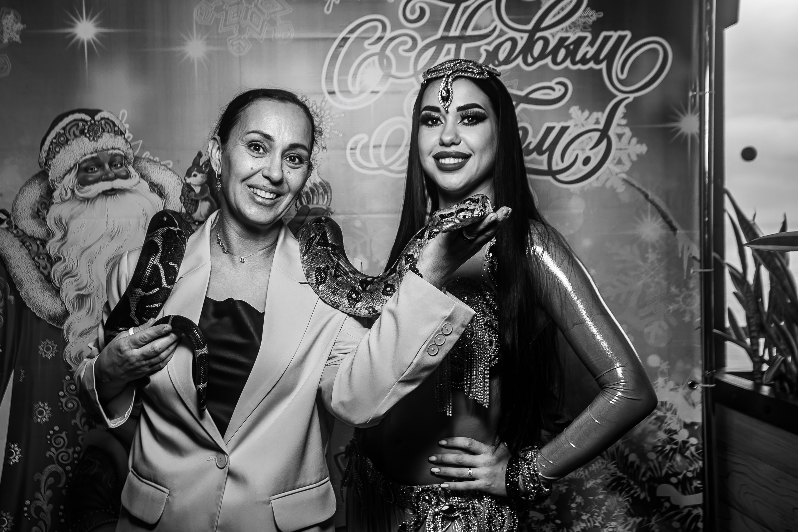 Новый годный АнтиКвиз_Palmira Palace_Ялта_15.12.2024. Аминов Руслан | Фотограф