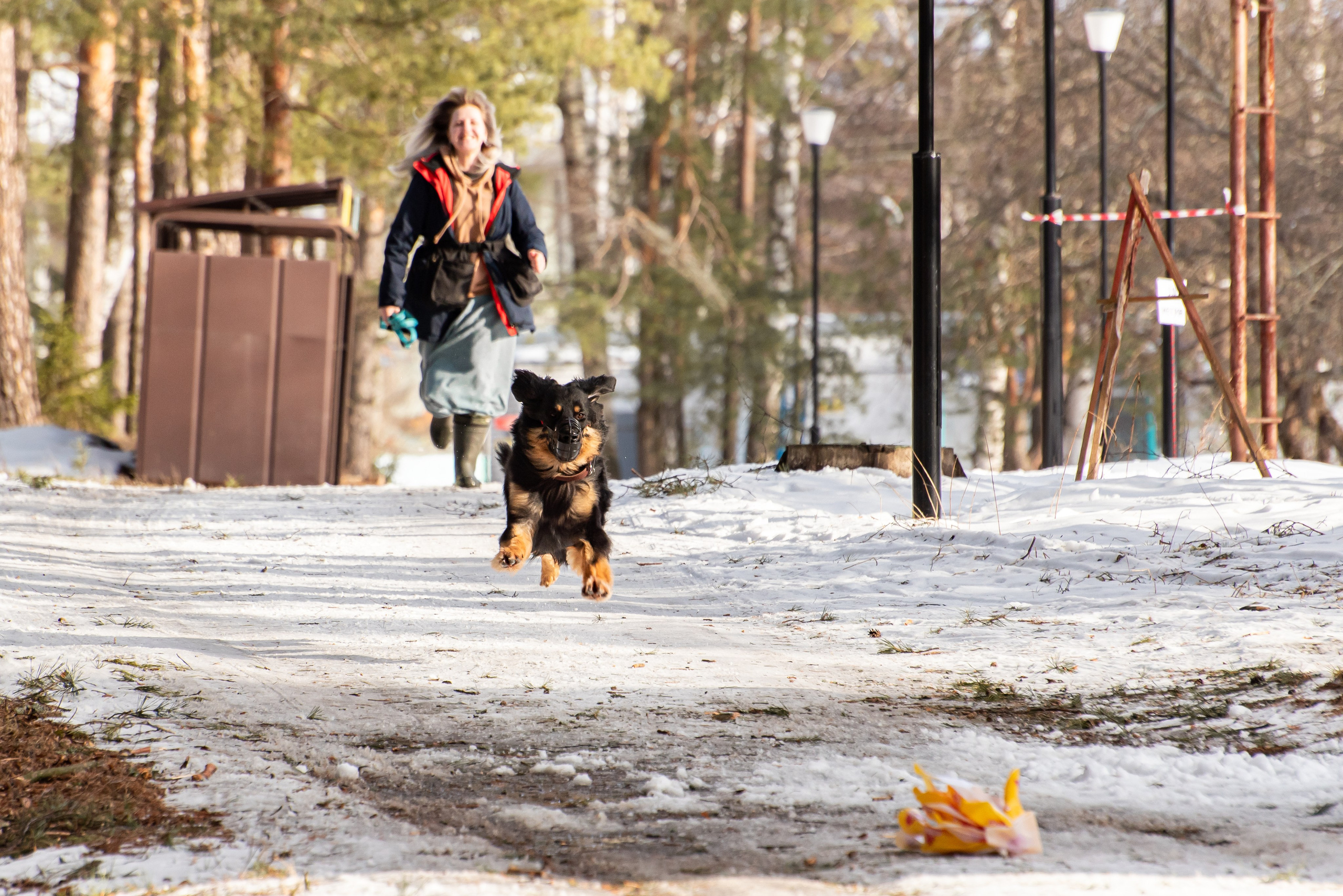 Фотосъёмка с собаками в Кинологическом лагере. Фотограф Макс Огурцов в Нижнем Новгороде