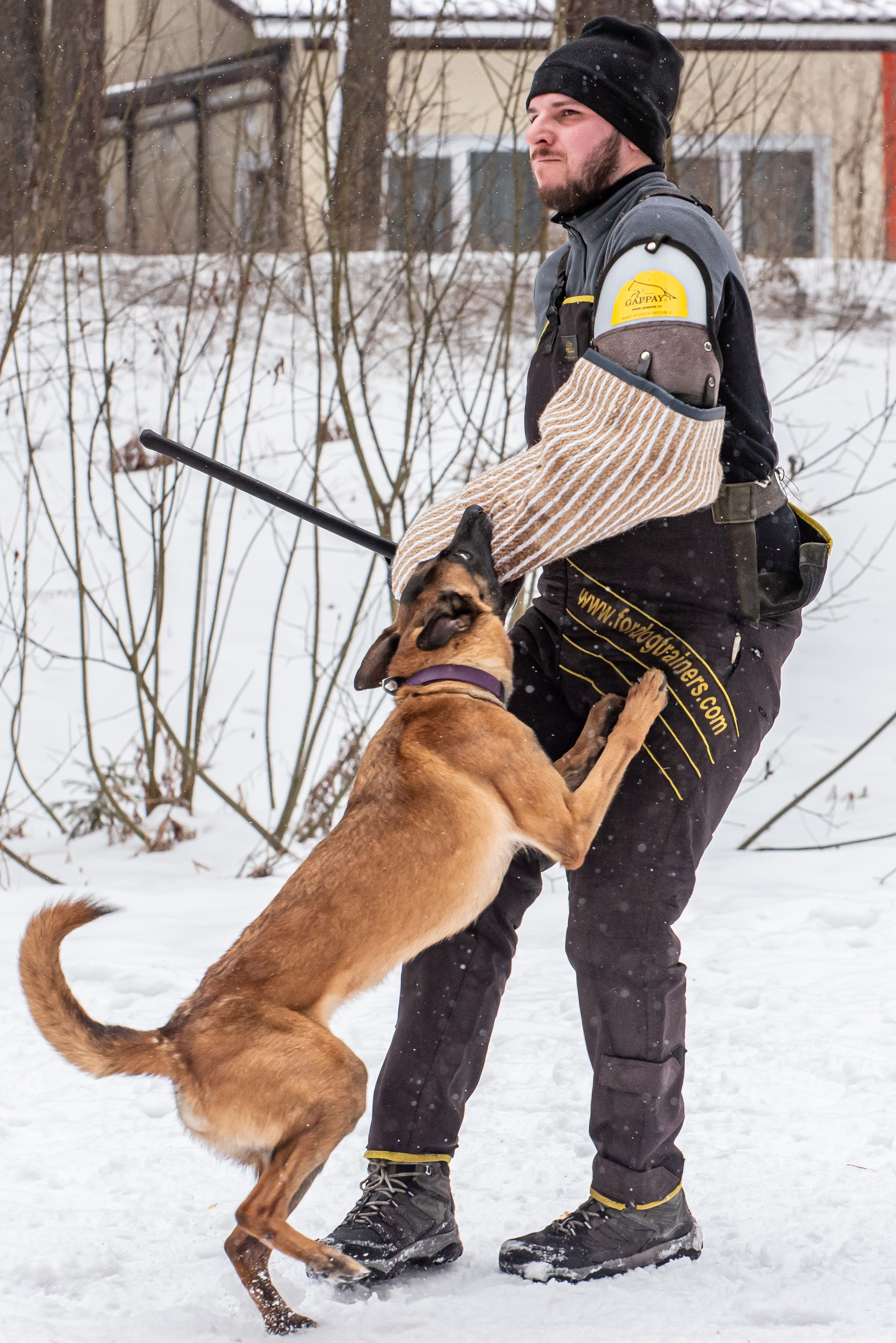 Фотосъёмка с собаками в Кинологическом лагере. Фотограф Макс Огурцов в Нижнем Новгороде