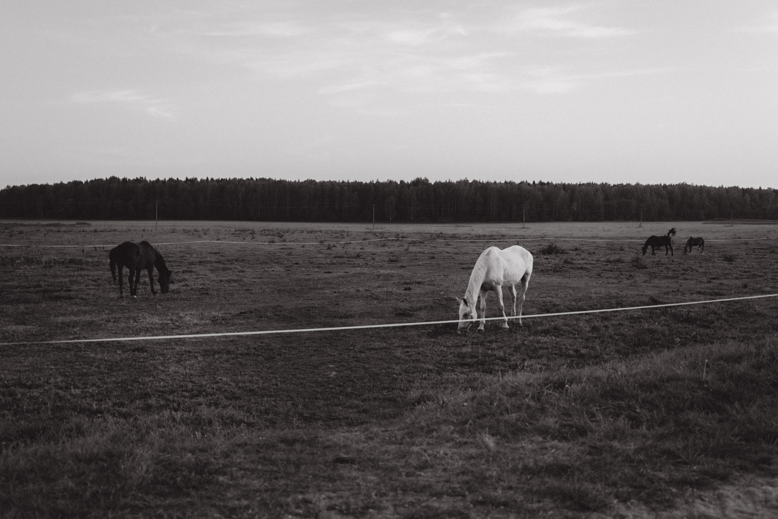 Оля и Сонечка. Фотограф в Минске — Мария Миллс