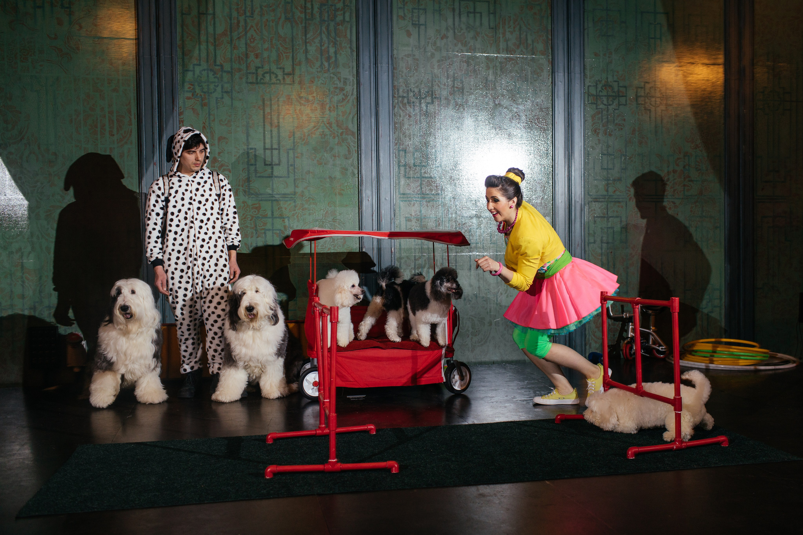 Алине 7 лет. Свадебный и семейный фотограф