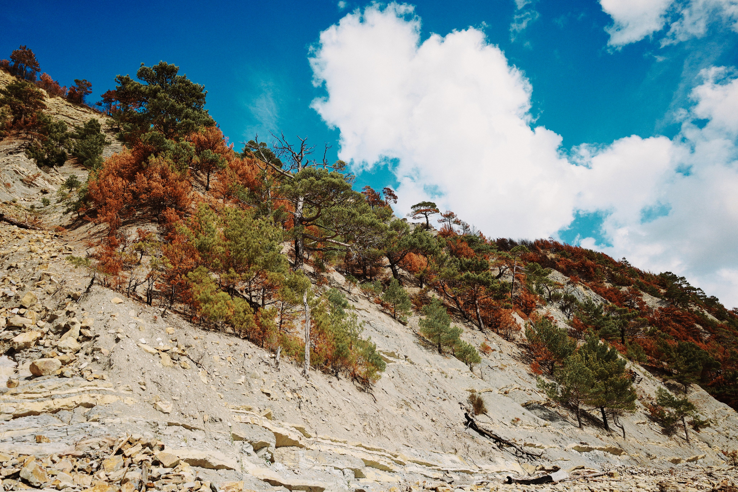 Пейзажи и уличная съёмка