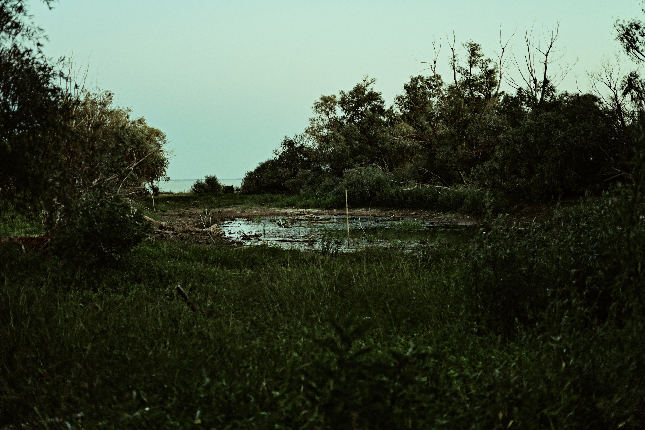 Пейзажи и уличная съёмка