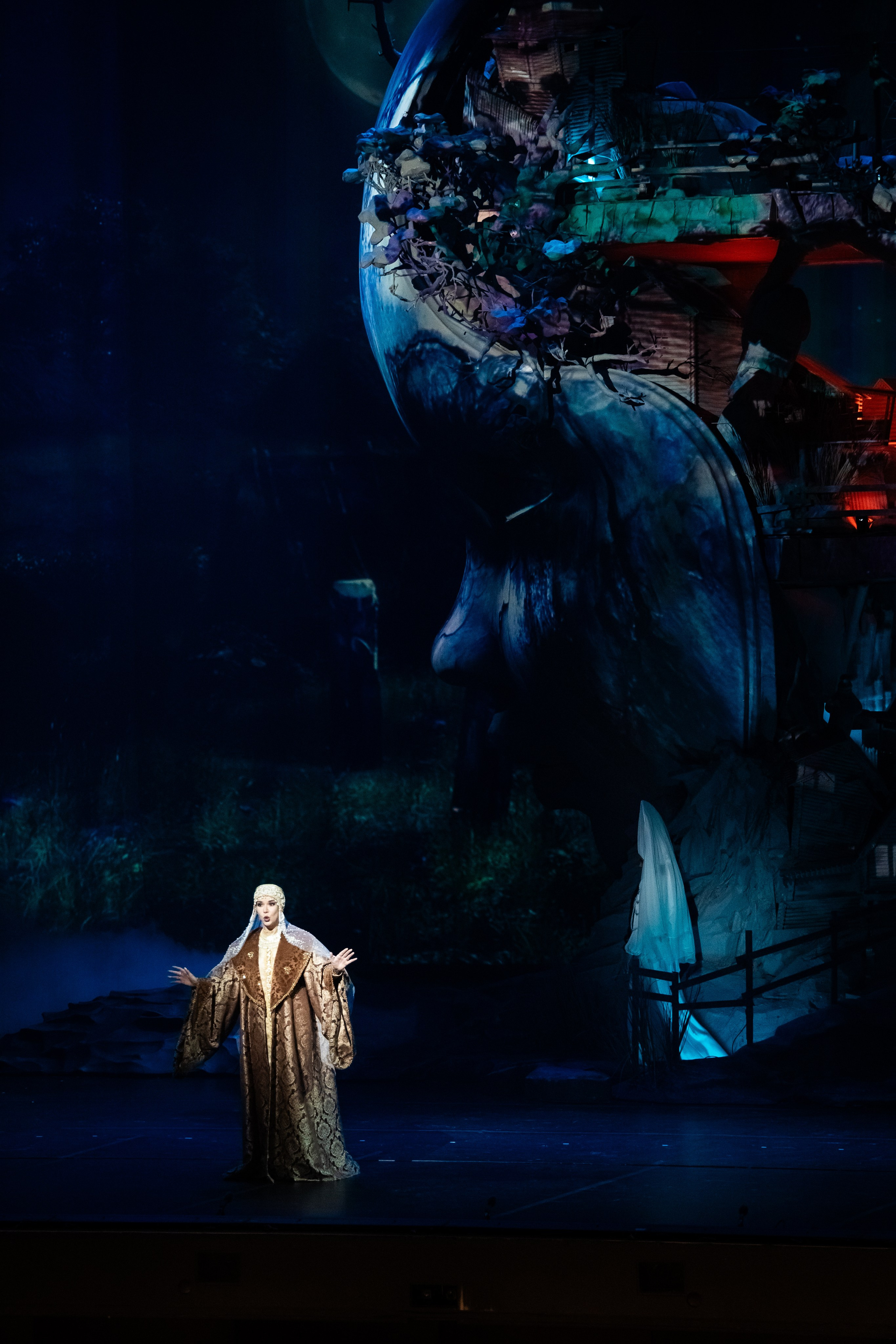 Мандрагора. Фотограф и видеограф Евгений Романов Санкт-Петербург