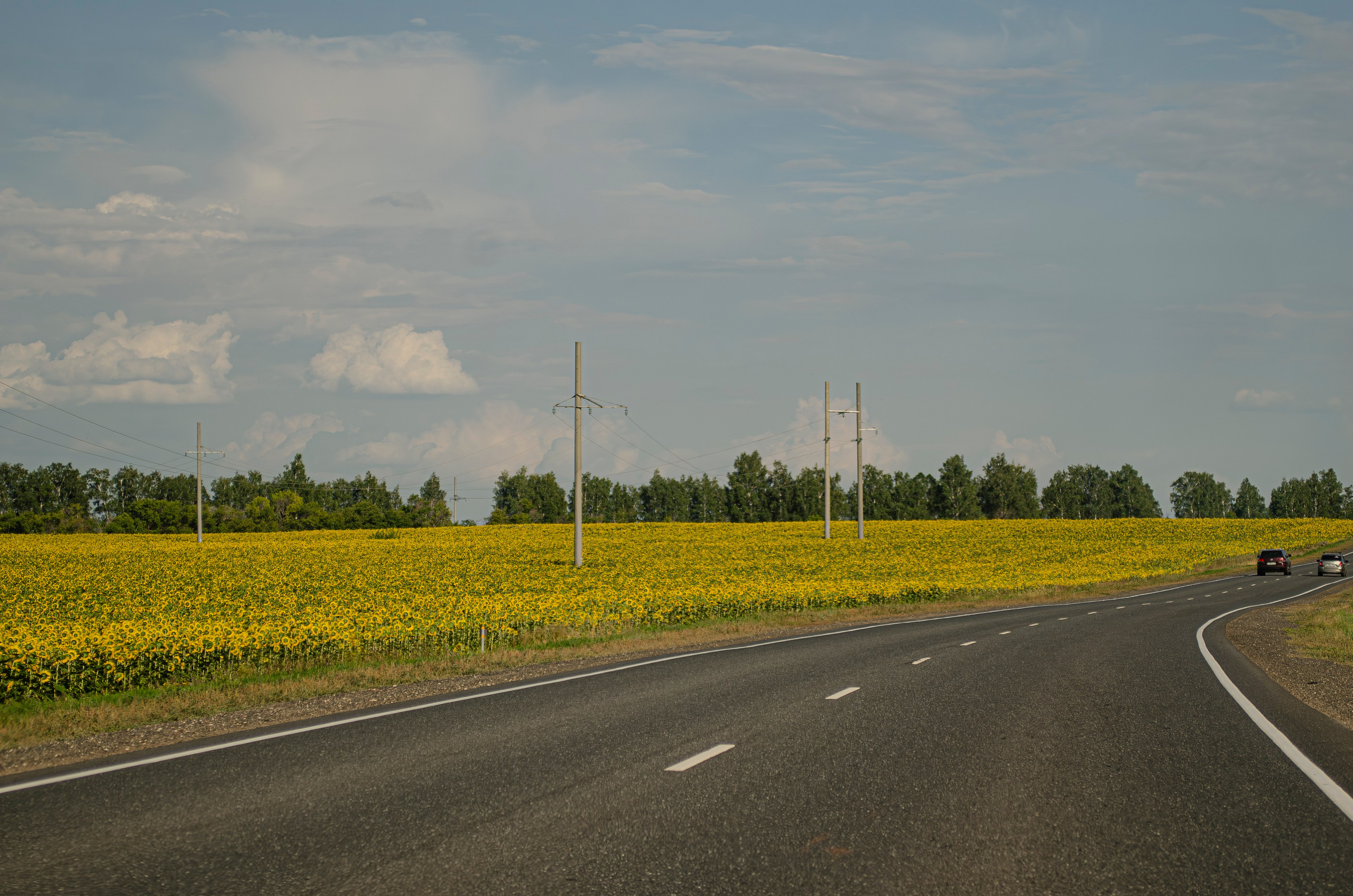 Пейзажи. Sreda fotoArt