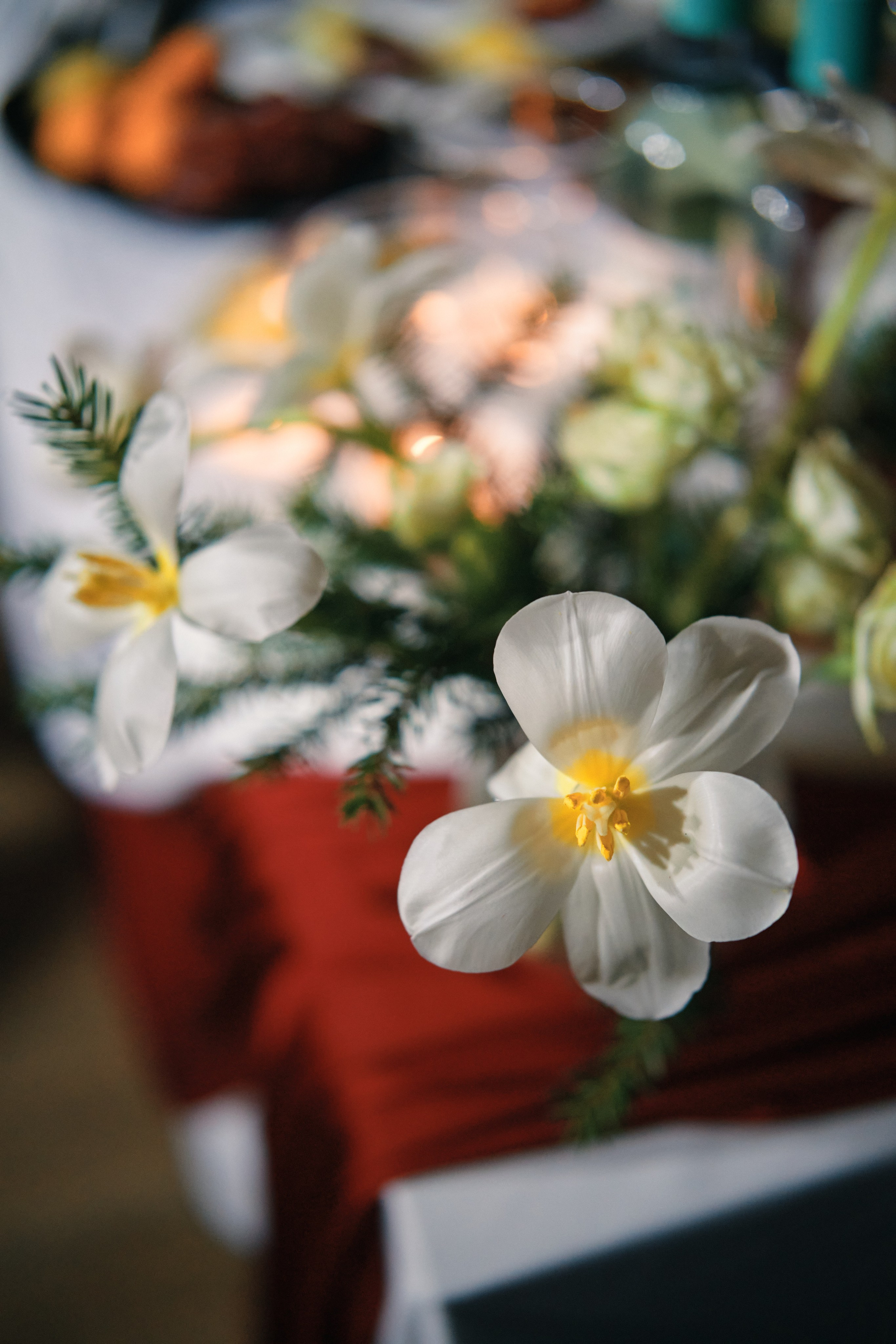 День двух влюбленных. Свадебный фотограф Санкт-Петербург Ирина Селезнева RmesLOVE