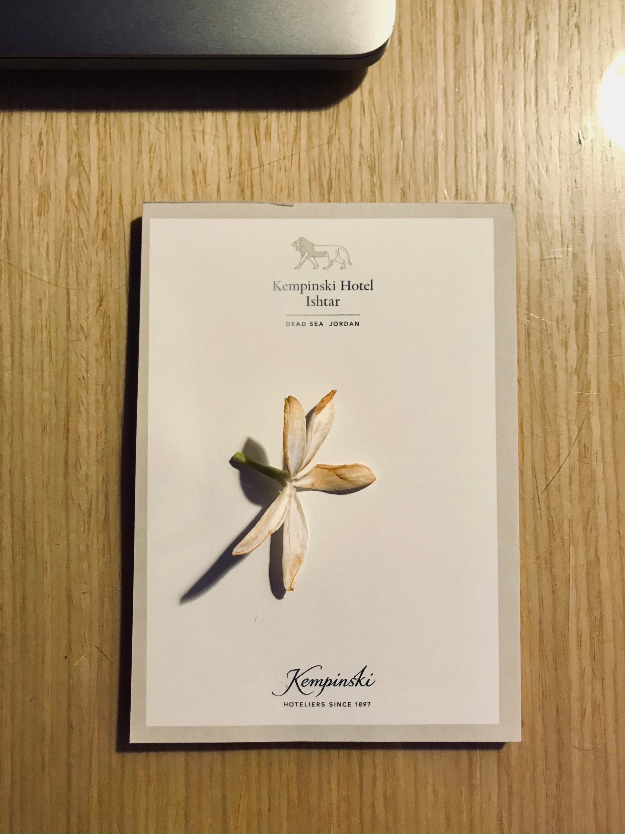 Иордания. Портретный фотограф в Москве Гульнара Миннуллина