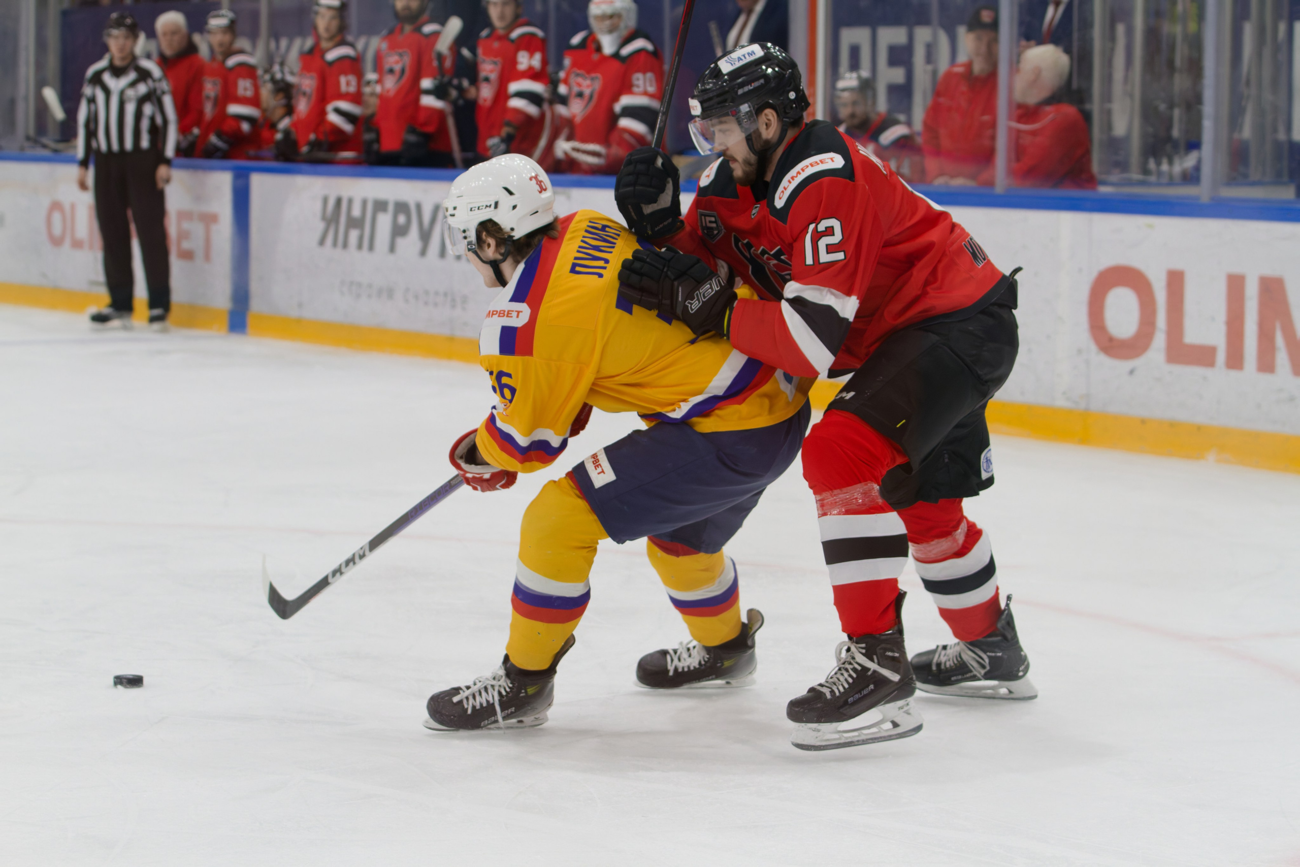 Хоккей. Молот-Химик 12.02.2025. Репортажный и спортивный фотограф в г. Пермь Зильберг Павел