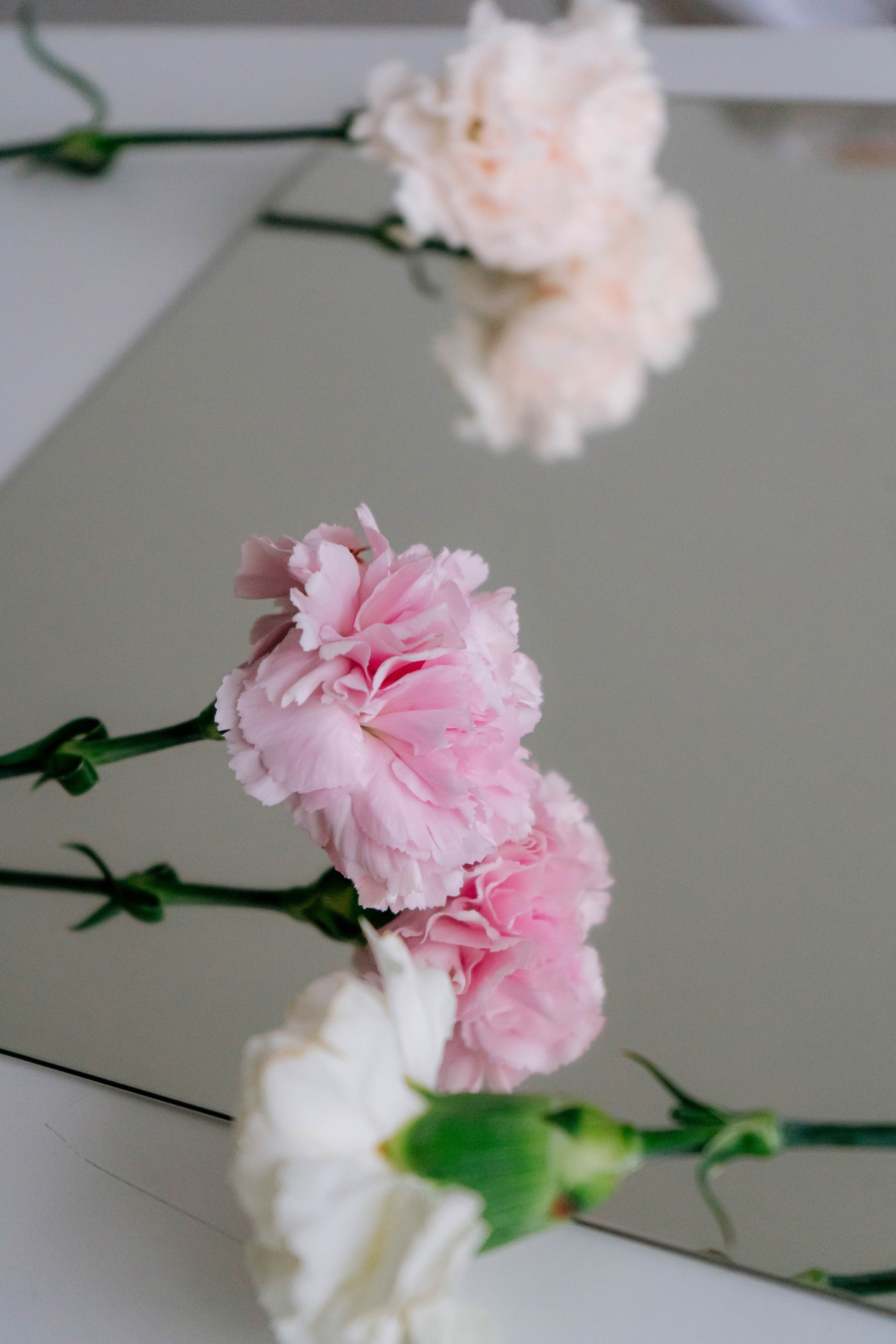 Милена. Твой фотограф Алина Кочергина