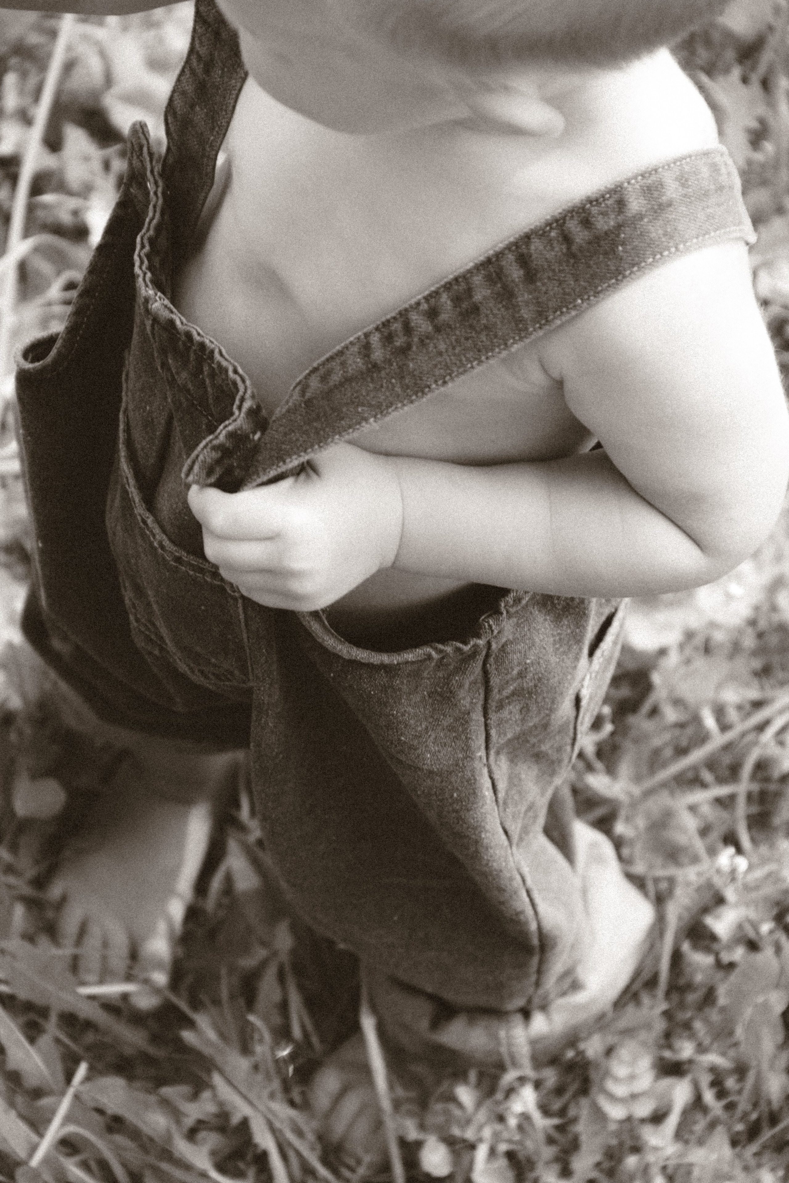 Farm photos. Главная