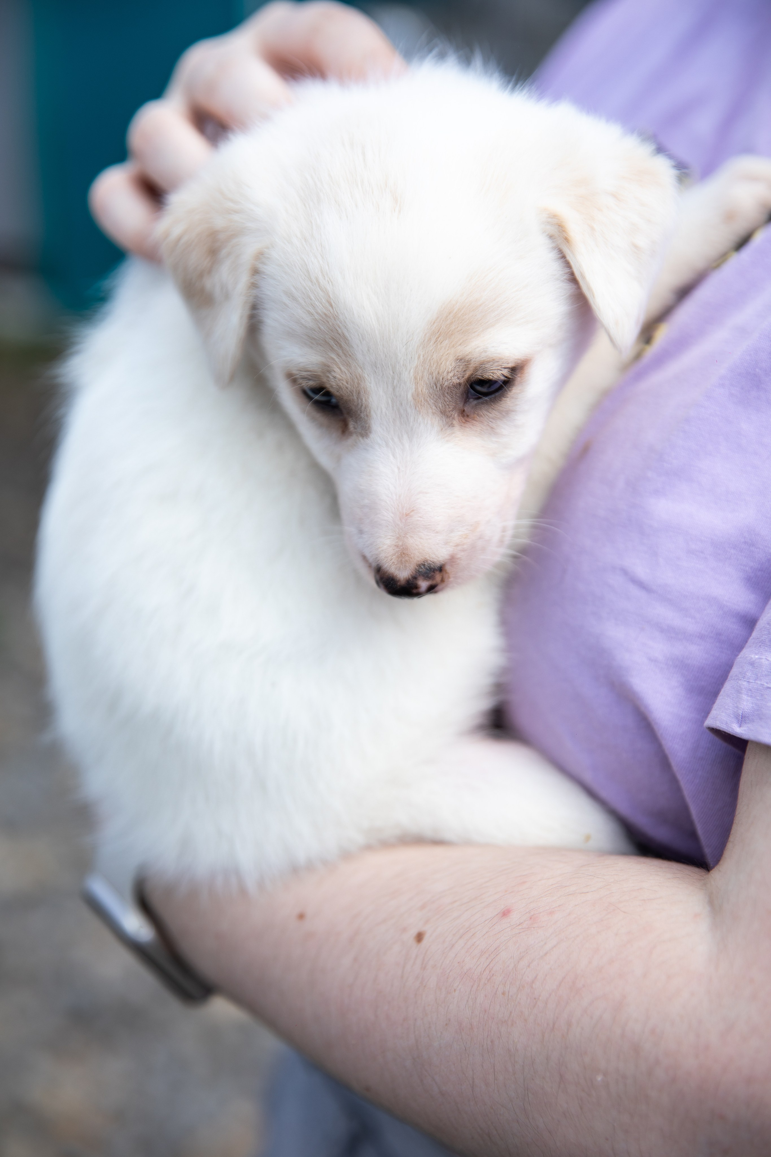 Приют — Наш дом. Репортажный и свадебный фотограф в Челябинске Елисеев Павел