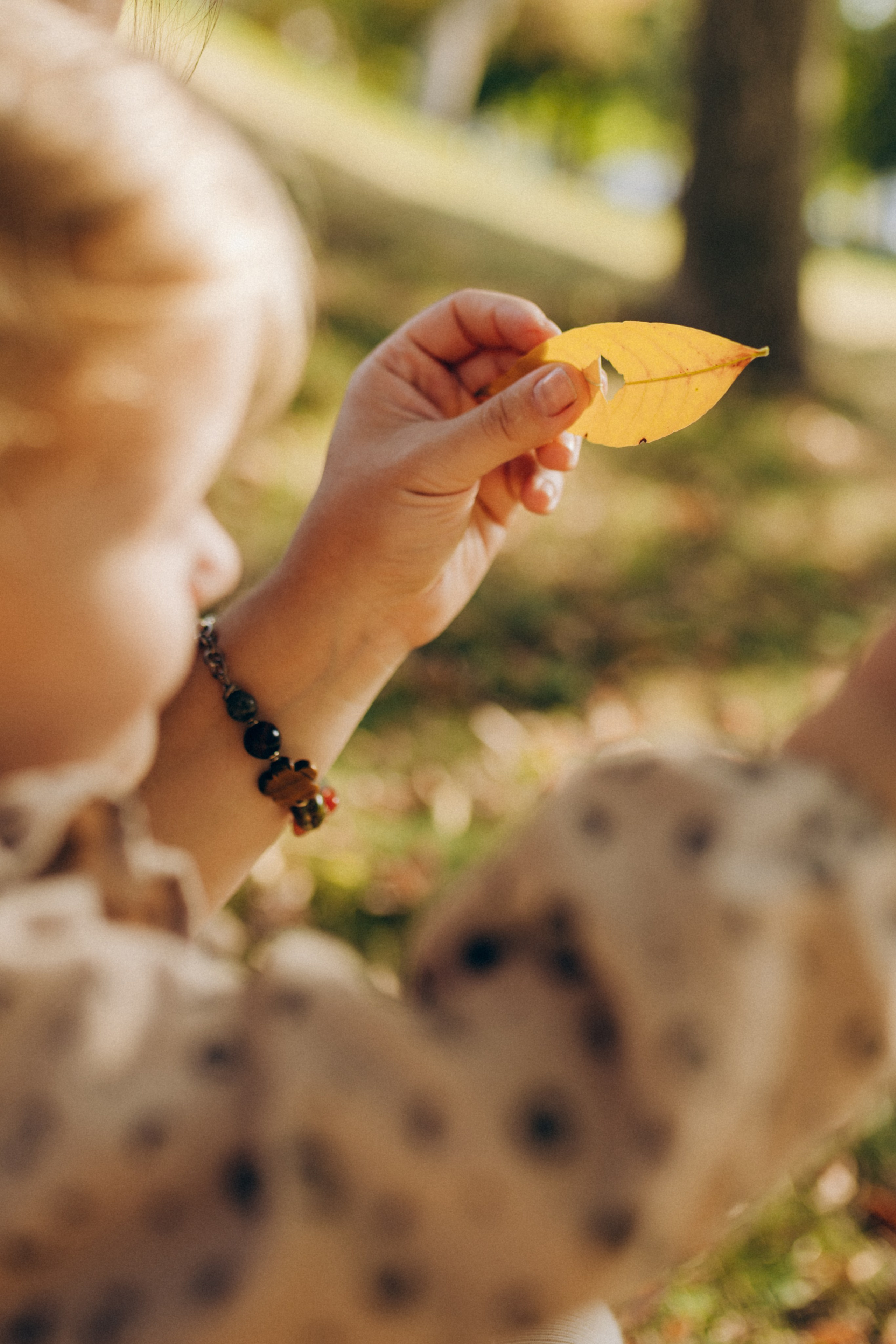 Осенняя фотосессия в парке. Семейный фотограф в Самаре Елена Ефимова