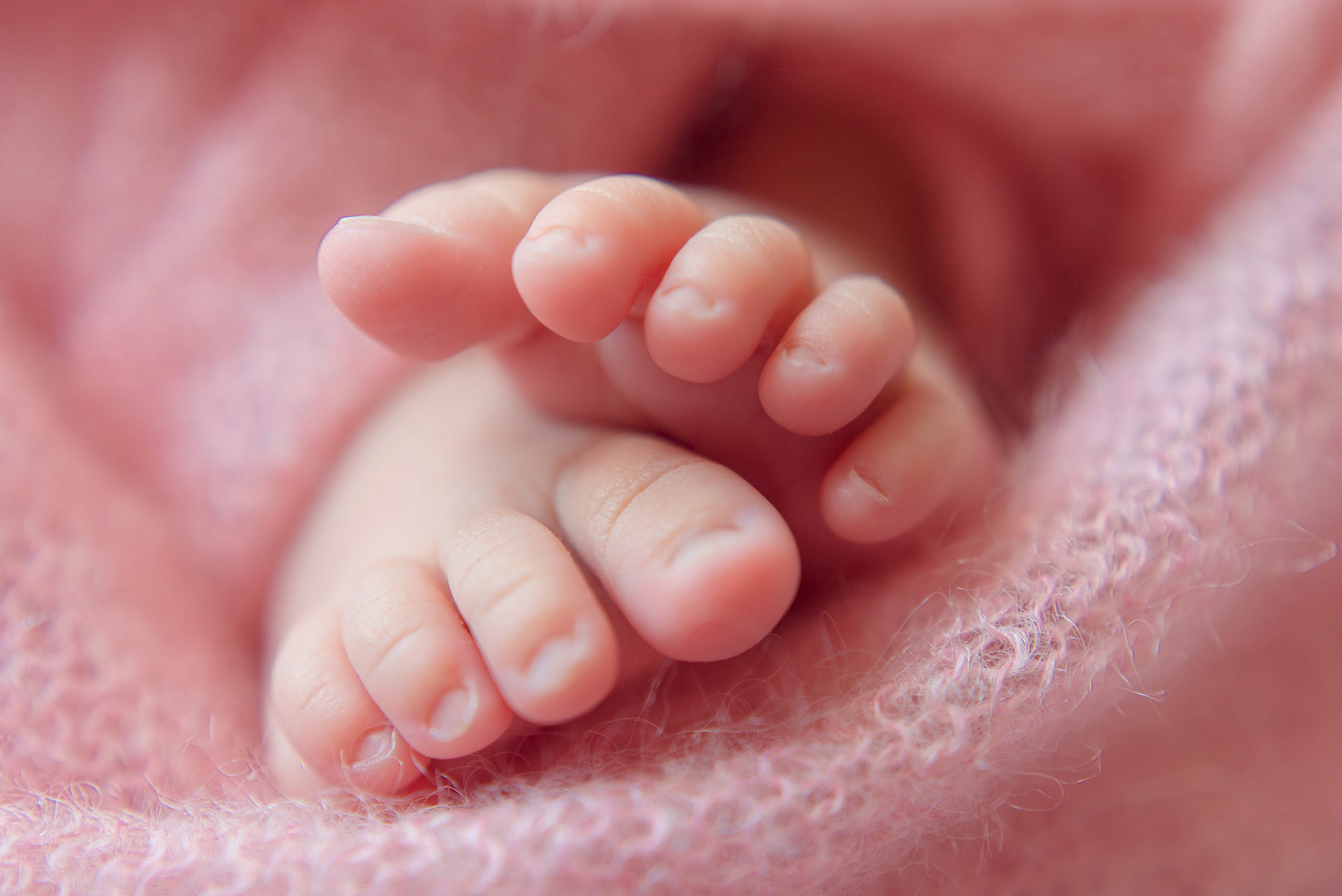 Новорожденные. Фотограф в Красноярске Шепелева Мария