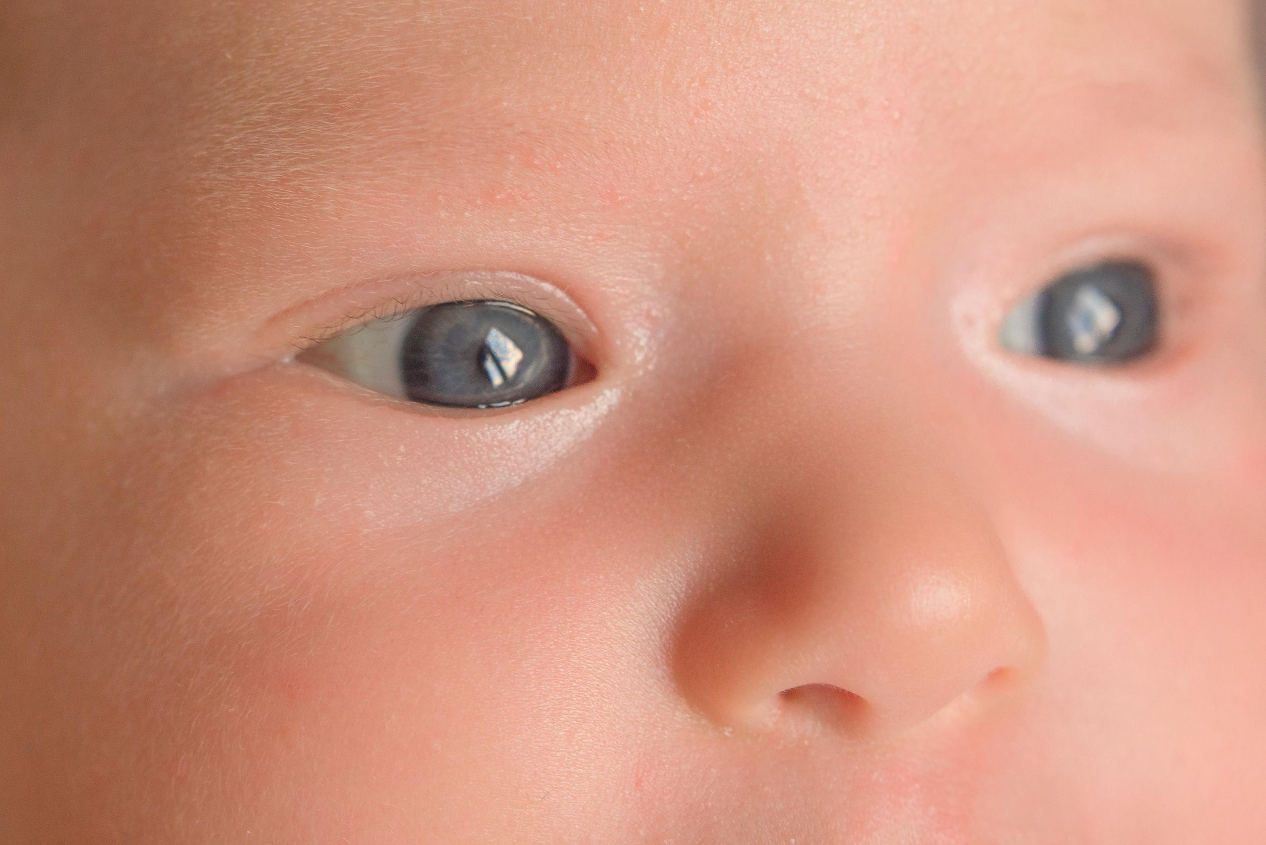 Новорожденные. Фотограф в Красноярске Шепелева Мария