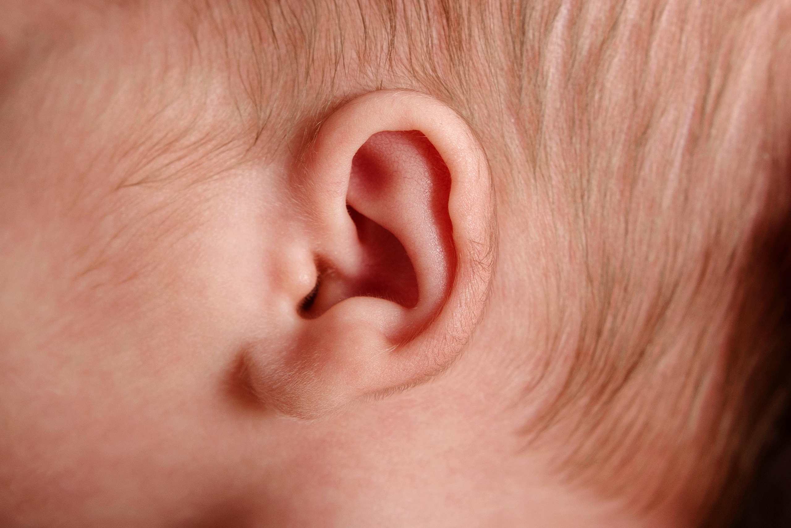 Новорожденные. Фотограф в Красноярске Шепелева Мария