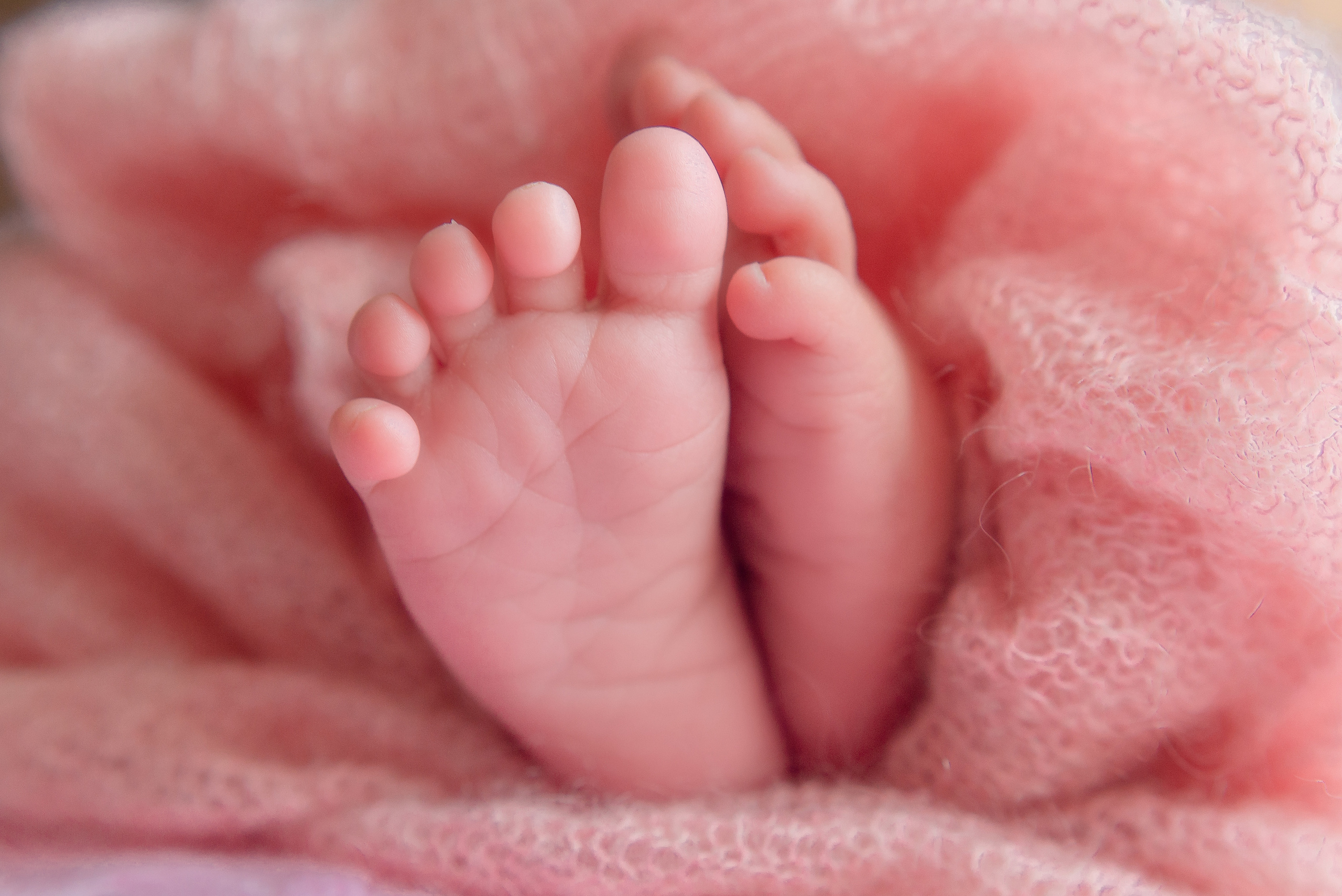 Новорожденные. Фотограф в Красноярске Шепелева Мария