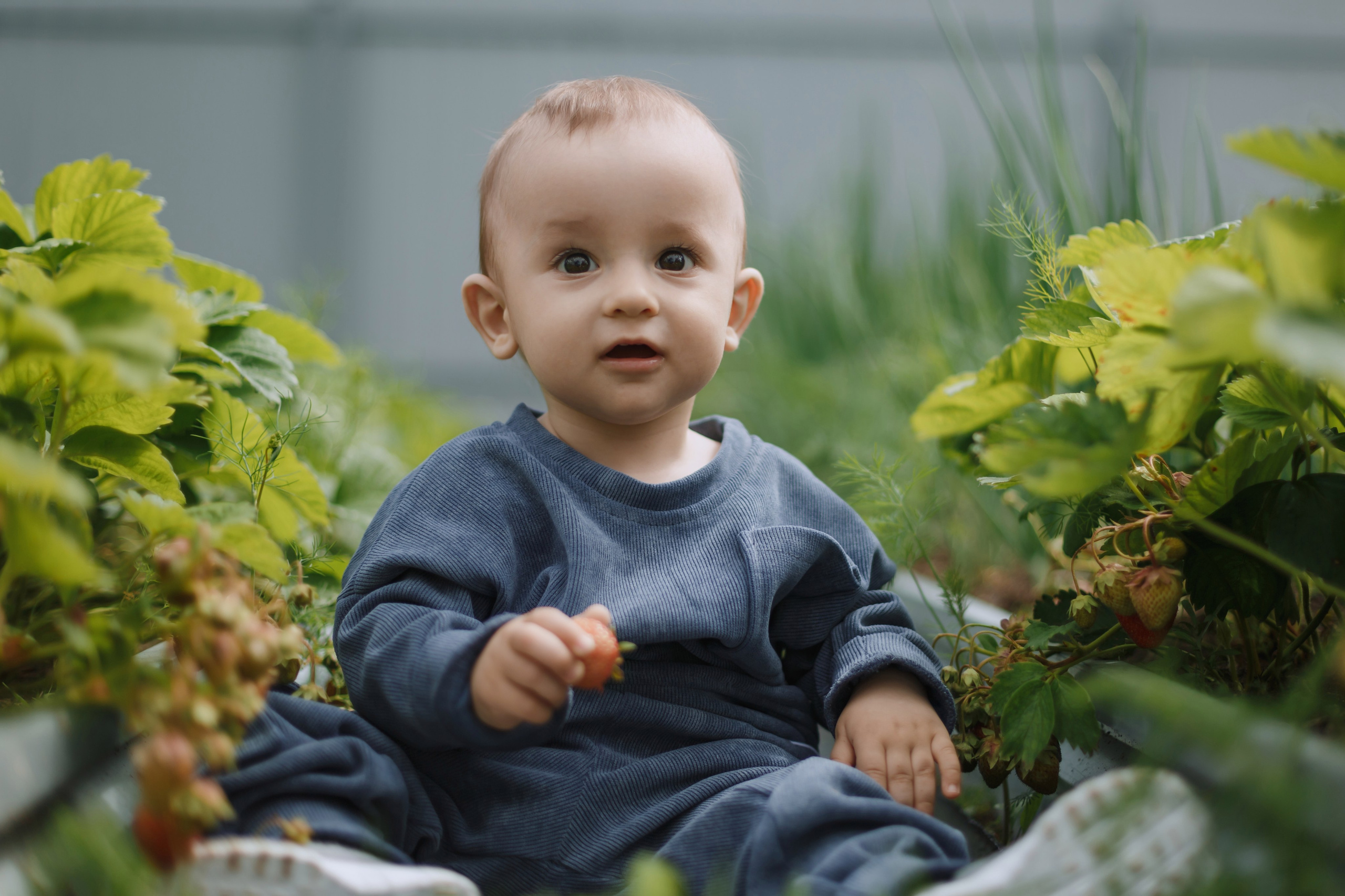 Большое Олино семейство. Профессиональный фотограф Надежда Антонова