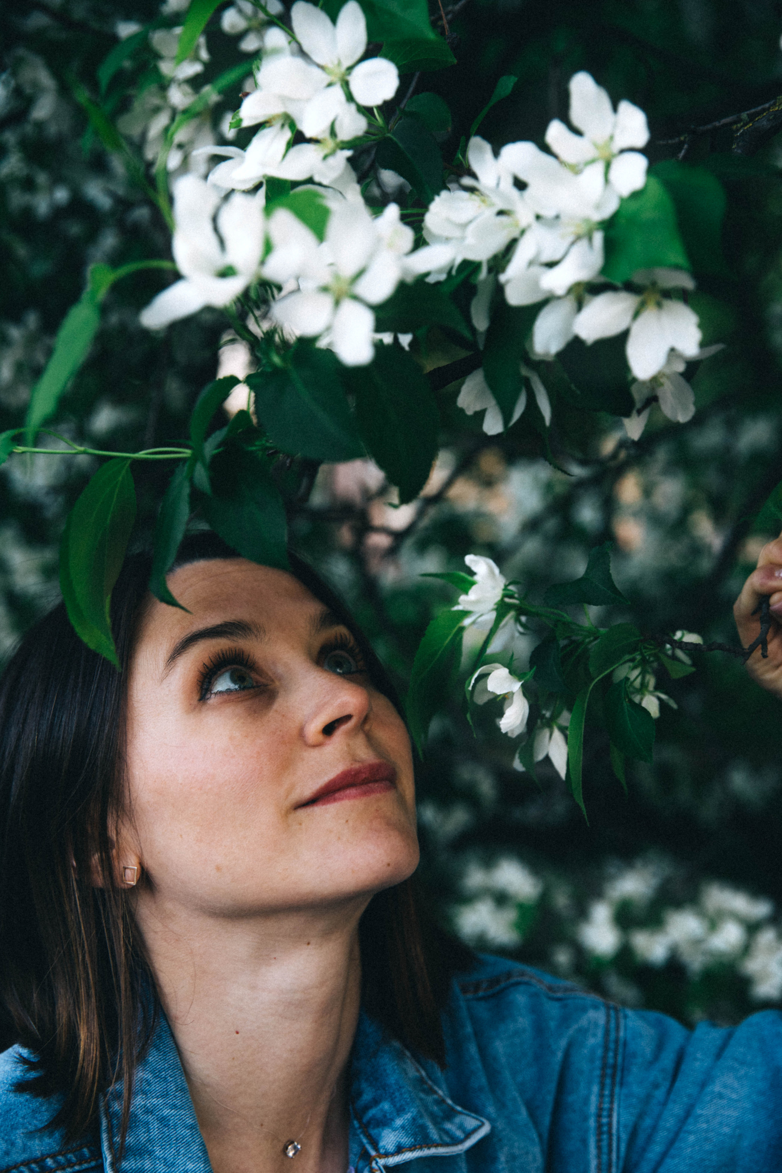 Фотосесия в цветущей яблоне. Свадебный и семейный фотограф в Санкт-Петербурге Лолита Евстифеева