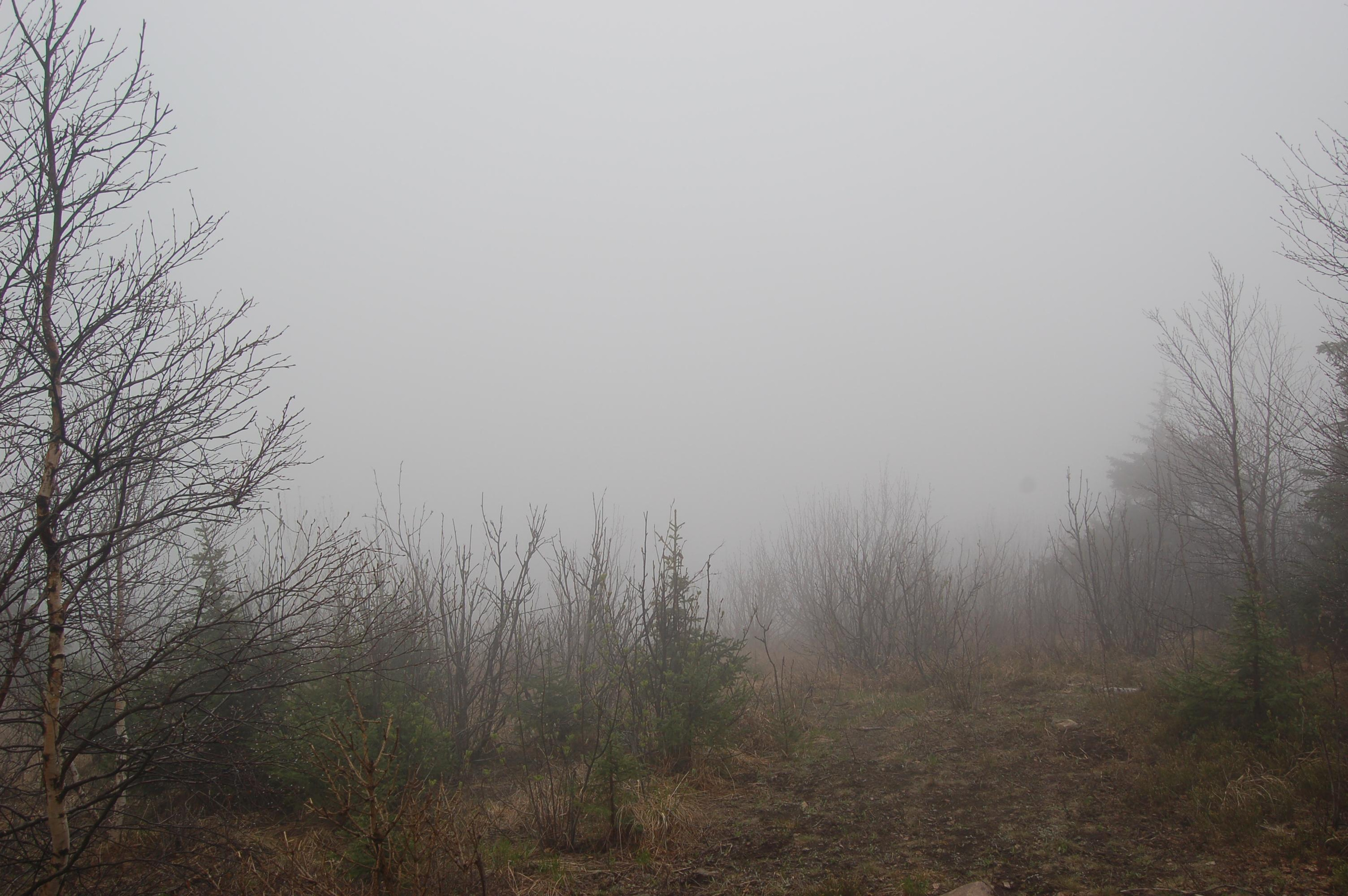 Гора Юрма. Фото и жизнь