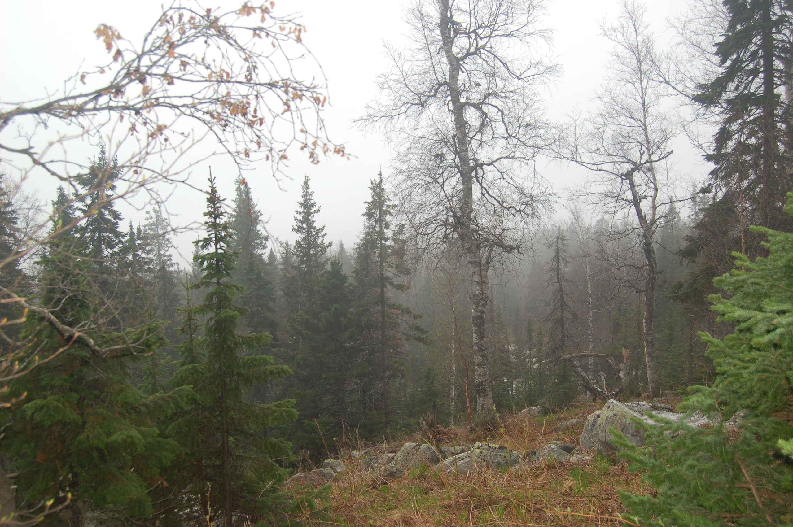 Гора Юрма. Фото и жизнь