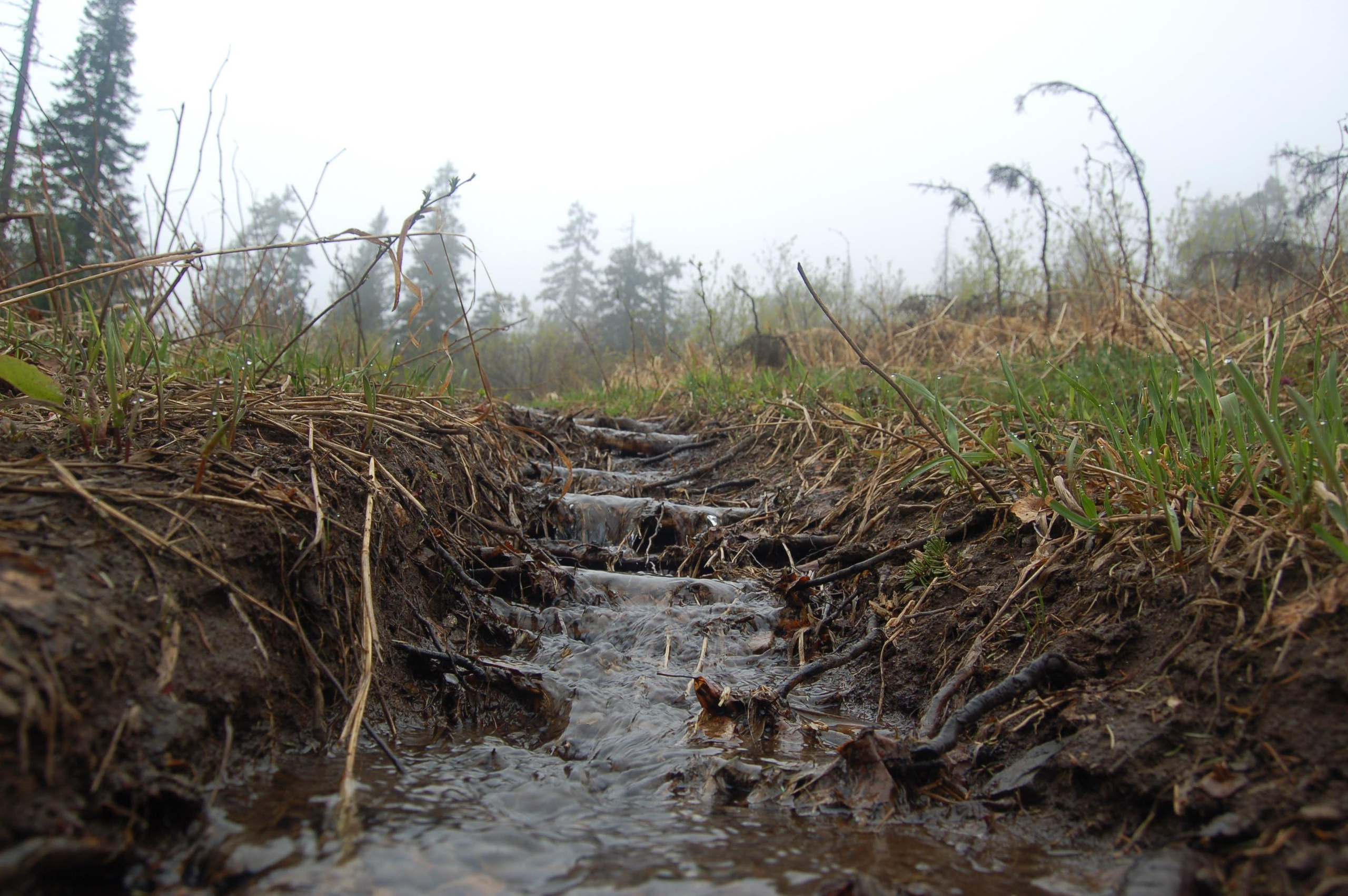 Гора Юрма. Фото и жизнь