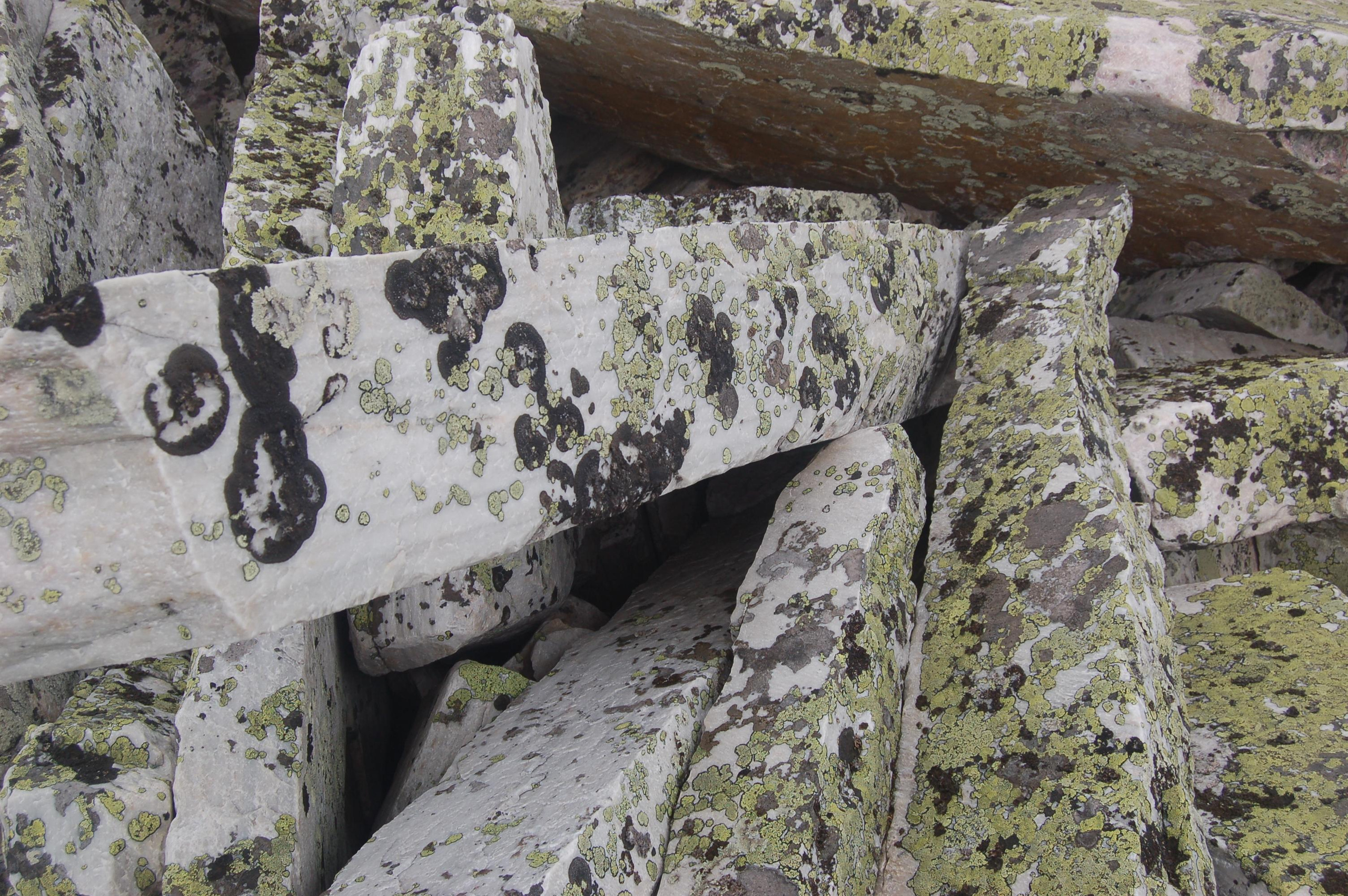 Гора Юрма. Фото и жизнь