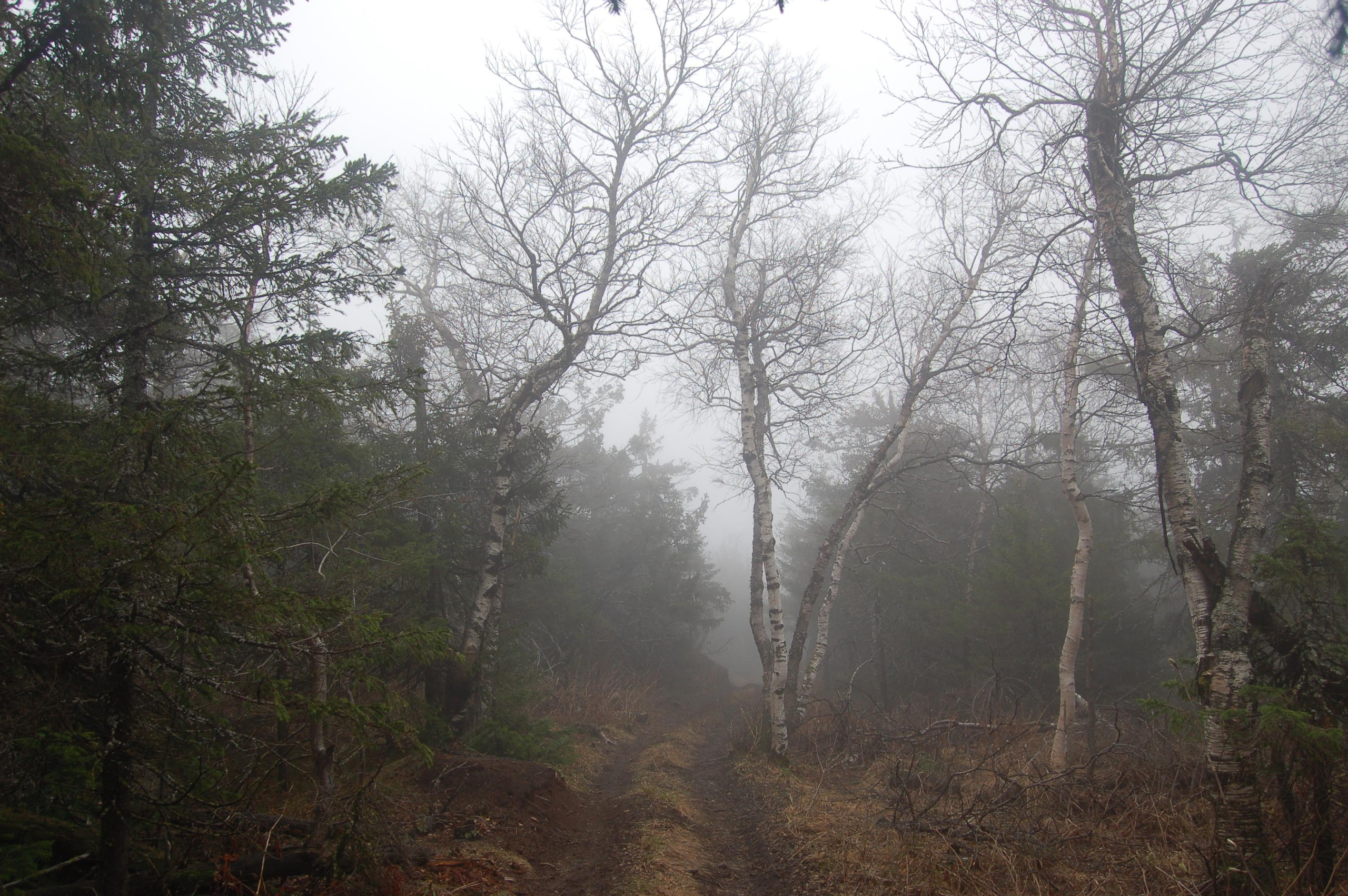 Гора Юрма. Фото и жизнь