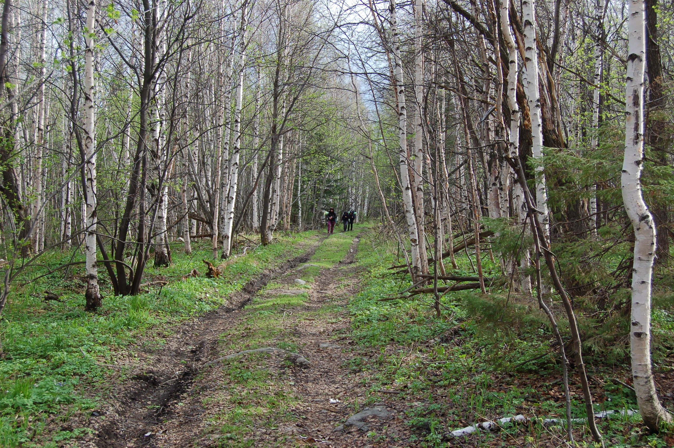 Гора Юрма. Фото и жизнь