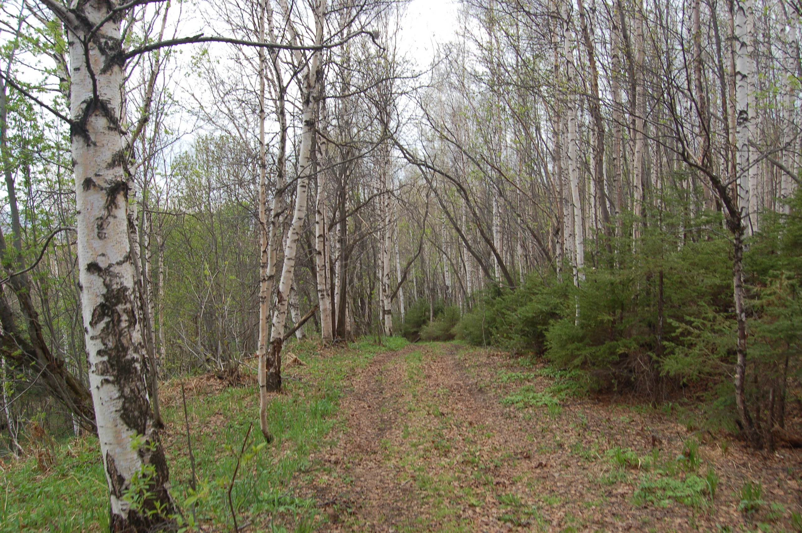 Гора Юрма. Фото и жизнь