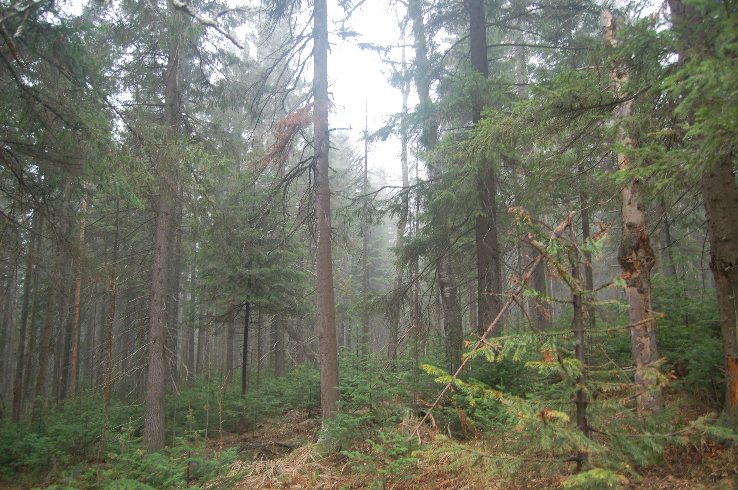 Гора Юрма. Фото и жизнь