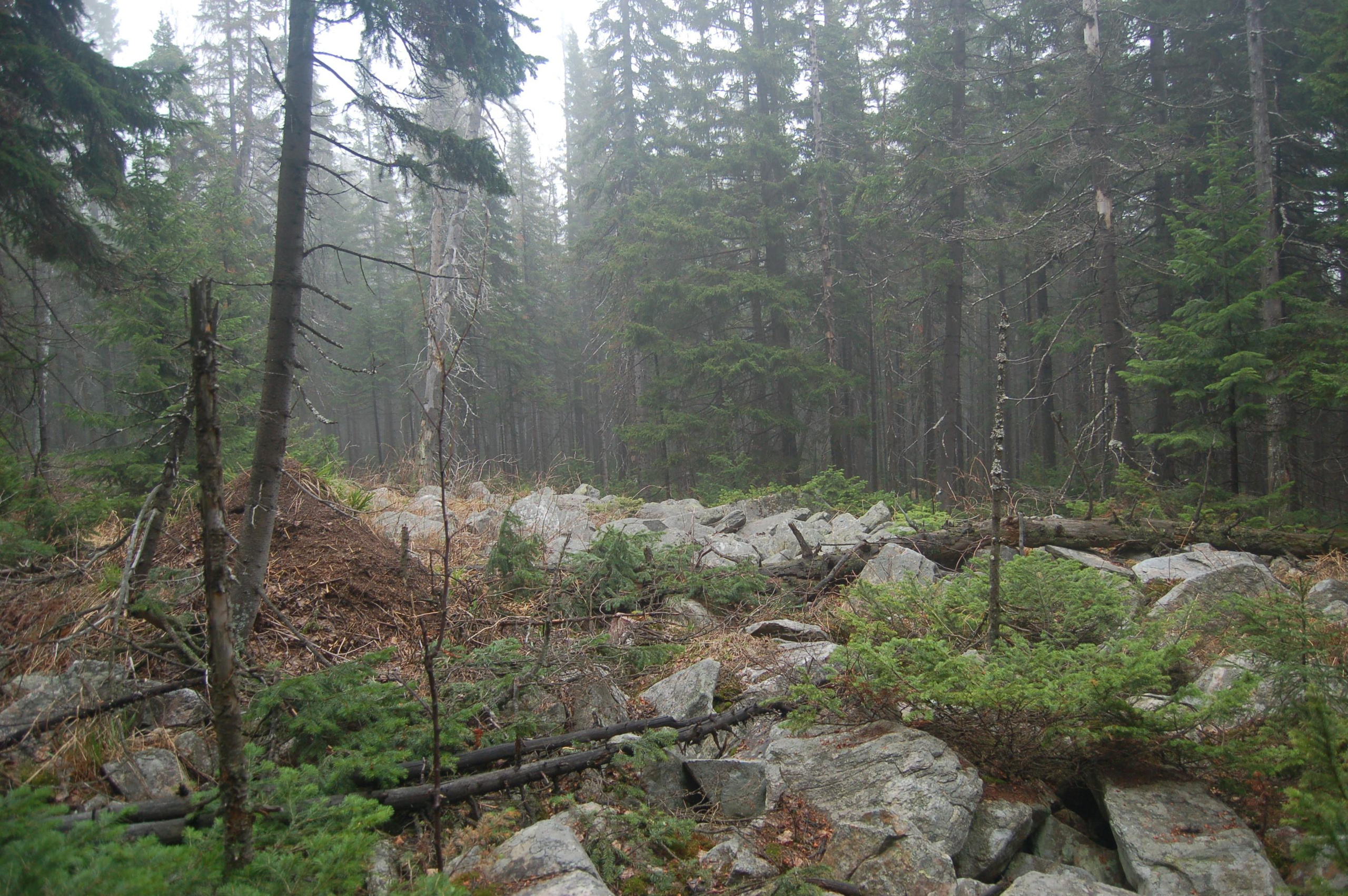 Гора Юрма. Фото и жизнь