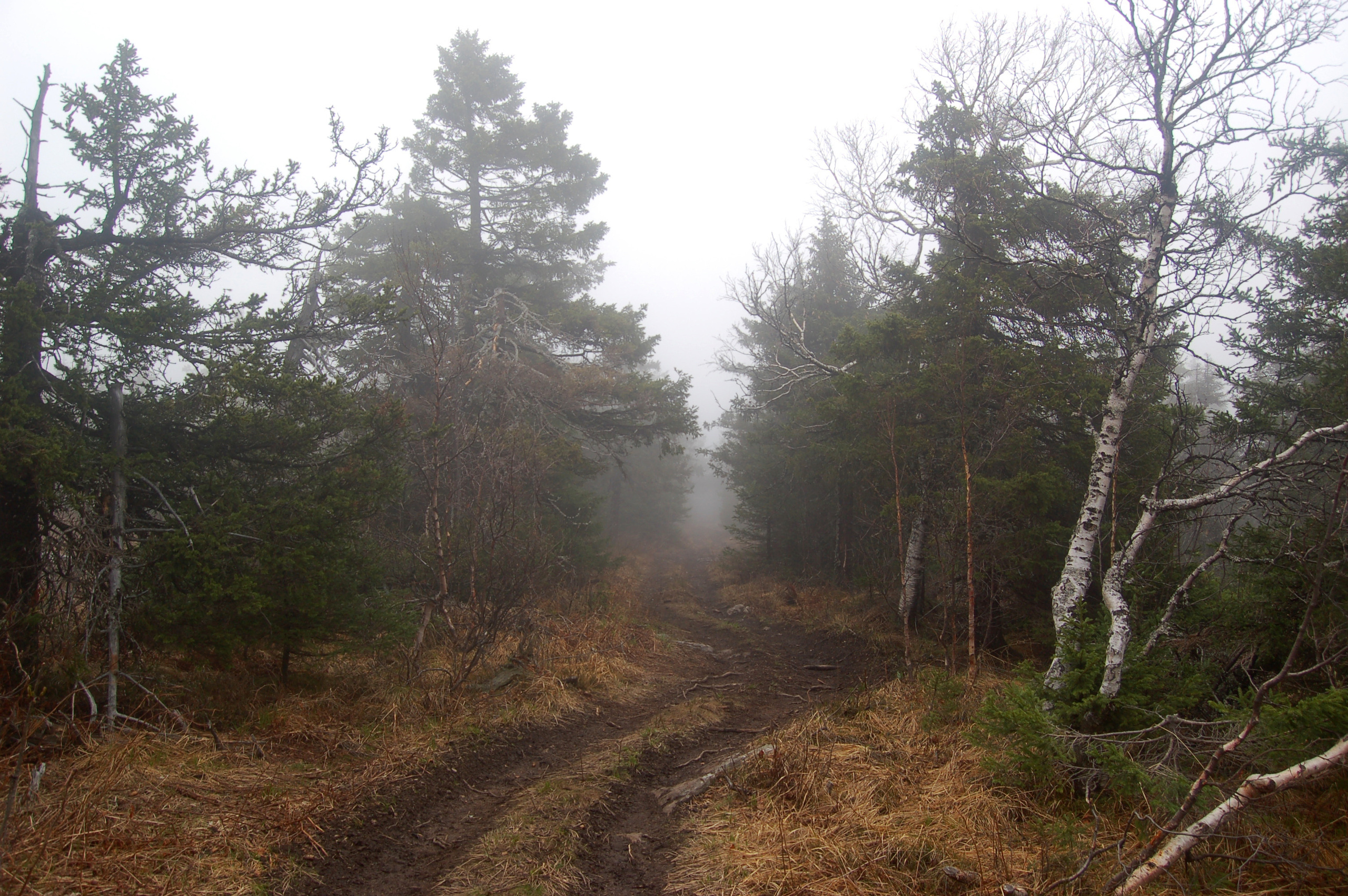 Гора Юрма. Фото и жизнь